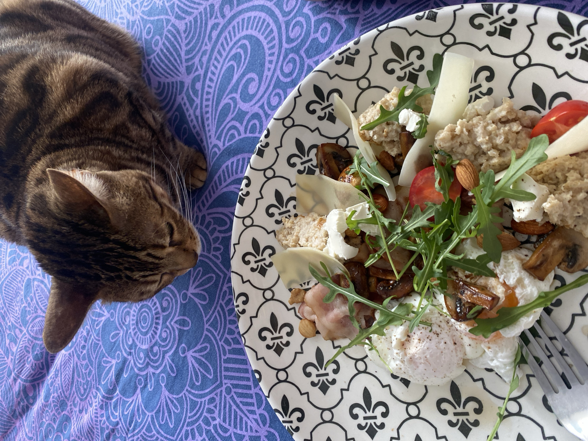 A close-up shot shows a tabby cat lying on a purple patterned surface, adjacent to a black and white patterned plate. The plate contains an arrangement of food that includes eggs, mushrooms, cheese slices, almonds, arugula, bacon, and bread. A fork is visible on the plate. The scene is indoors with natural lighting, likely taken from above. There is no definitive indication of the location being Chaikovsky, Russia.