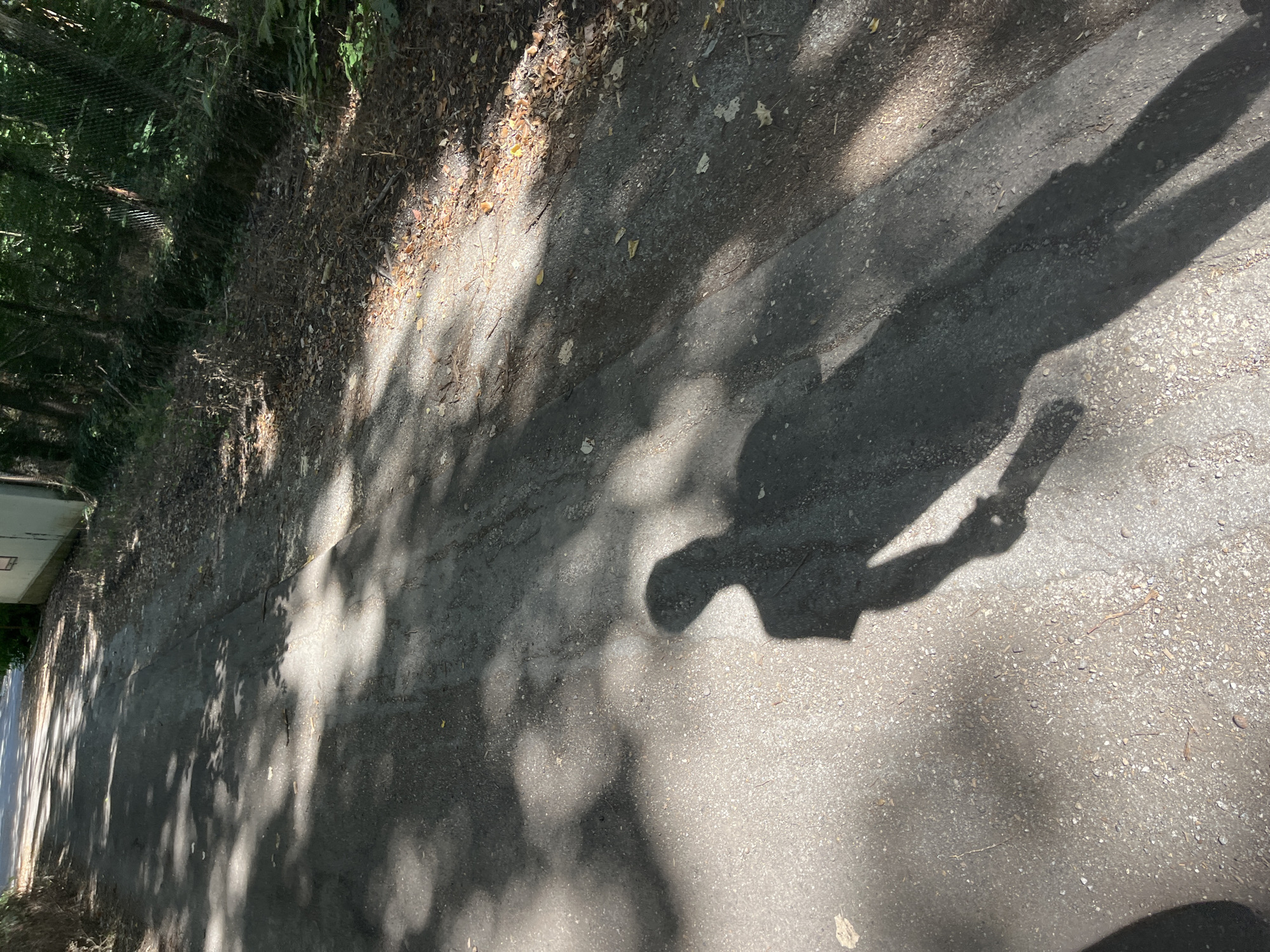 The image shows a person's shadow cast on an asphalt road, with trees and foliage on either side of the road. A building is visible in the background on the right side of the road. The road appears to be in a rural or semi-rural setting, with dry leaves scattered on the ground along the edges. The lighting suggests it is daytime, with sunlight filtering through the trees and creating dappled shadows on the road. The location is identified as Nikolovo, Bulgaria.