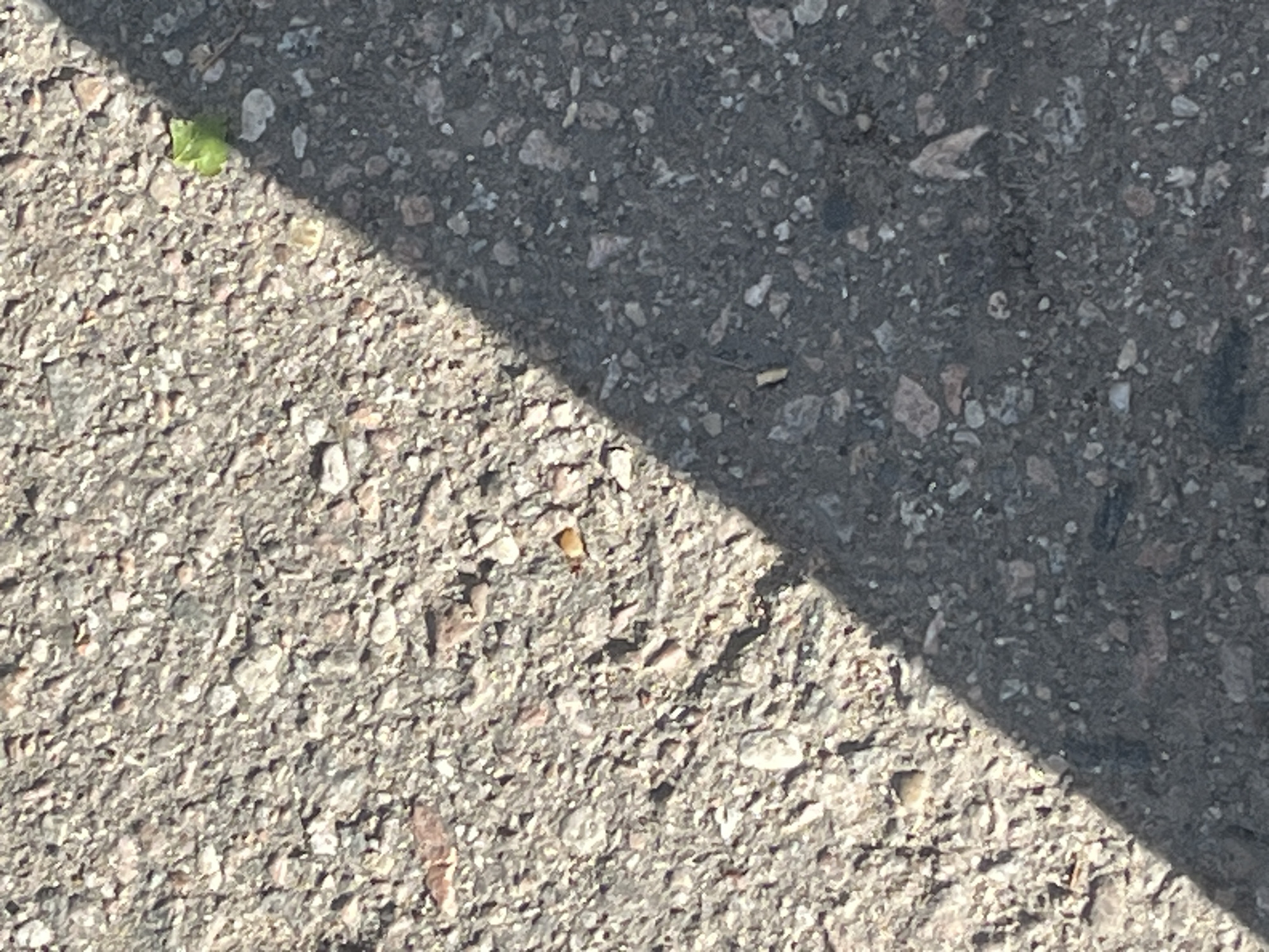 The image shows a close-up, overhead view of asphalt. A diagonal shadow cuts across the asphalt, dividing it into a lighter, sunlit area and a darker, shaded area. In the sunlit portion, a small, bright green leaf is visible on the ground. The asphalt itself is composed of small, rough grey and white stones embedded in a darker grey matrix. The texture of the asphalt is coarse and uneven. There are no people or animals visible in the image. The scene appears to be an outdoor setting, possibly a street or pathway, given the presence of asphalt. The lighting suggests it is daytime, with the shadow indicating a specific time of day, likely mid-morning or afternoon, depending on the orientation. There are no discernible location cues beyond the general surface type. No text is visible.