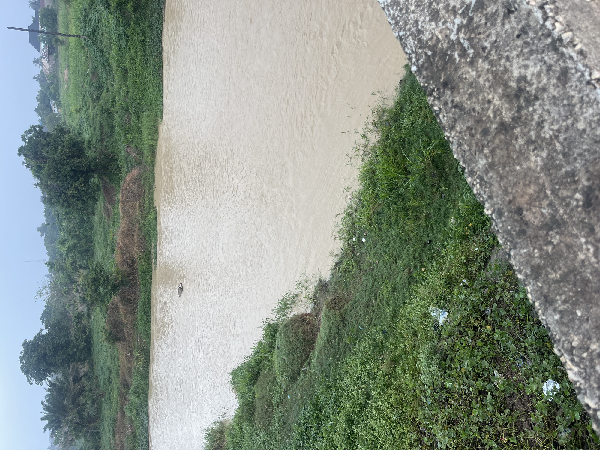 The image shows a murky, brown river flowing through Offatedo, Nigeria, as viewed from a bridge. The river is bordered by green vegetation. A concrete bridge edge is visible in the foreground. Trash is visible in the grass along the edge of the river. There is a dark object floating in the river. In the background, trees and buildings are visible. The sky appears overcast.