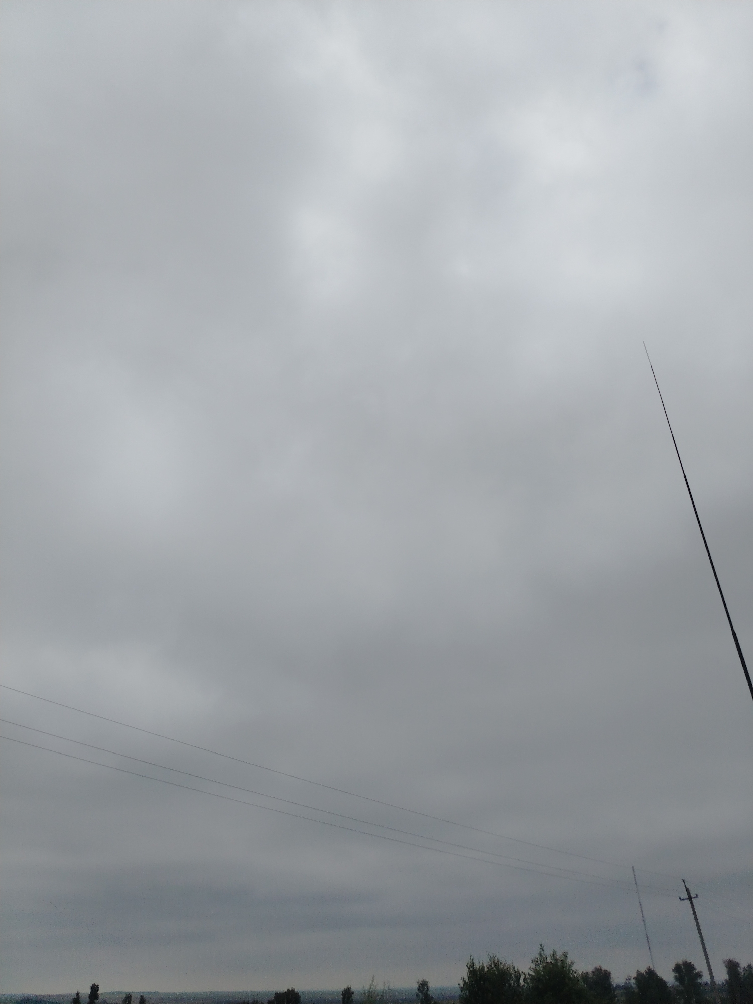 The image depicts an overcast sky with diffused light, suggesting a cloudy or hazy atmosphere. In the foreground, silhouetted against the sky, is a thin, dark, vertical pole extending from the bottom edge of the frame towards the upper right. This pole appears to be a man-made structure, possibly an antenna or a part of a utility pole.
Further down, a series of thin, dark lines traverse the frame horizontally, indicating power lines suspended between unseen supports. Below these lines, the horizon is visible, featuring a dark band of trees and vegetation. The landscape appears flat, with a few indistinct structures or features visible in the distance.
The overall impression is a rather bleak or muted scene, dominated by the sky and the utilitarian elements of the landscape. There are no people or animals visible in the frame, and no discernible actions or interactions taking place. The environment suggests an outdoor, rural, or semi-rural setting, likely in the town of Stepnoe, Russia, given the context.