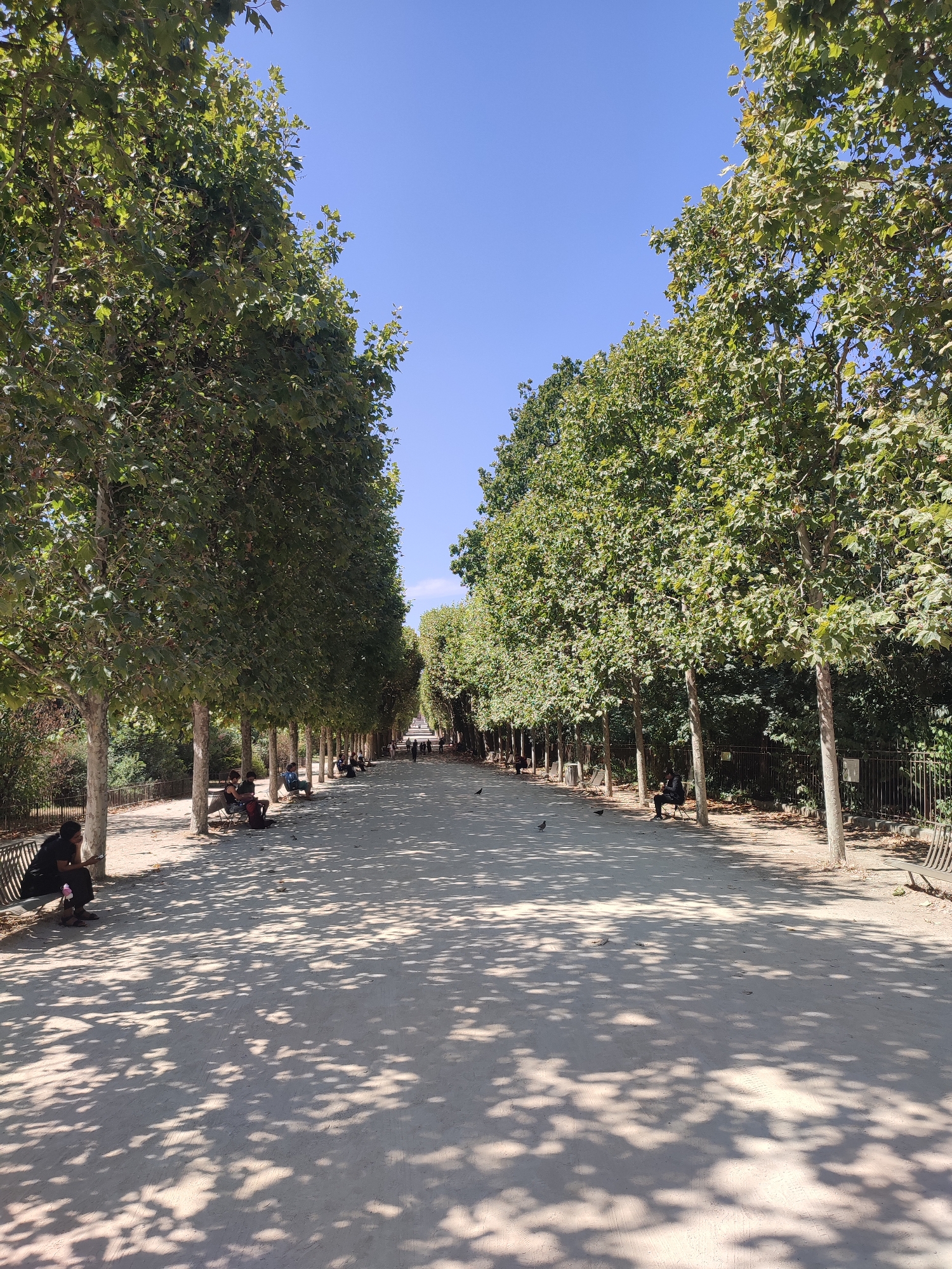 The image depicts a wide, tree-lined pathway in a park, likely the Jardin des Tuileries in Paris, France, given the distinctive manicured plane trees and the presence of park benches. The pathway, covered in gravel or sand, stretches into the distance, flanked by symmetrical rows of tall plane trees with full green foliage. Sunlight filters through the leaves, casting dappled shadows across the ground.
Several individuals are scattered along the pathway, most sitting on the benches. On the left side, a person in a black shirt is seated on a bench, looking down. Further down the path, other individuals are visible on benches, some with bags or backpacks. On the right side, a person in dark clothing is seated on a bench. A few pigeons are visible on the path.
The sky is a clear, bright blue, indicating a sunny day. The overall impression is one of a peaceful, urban park setting, popular for relaxation and leisure. The perspective of the image emphasizes the length and grandeur of the tree-lined promenade.