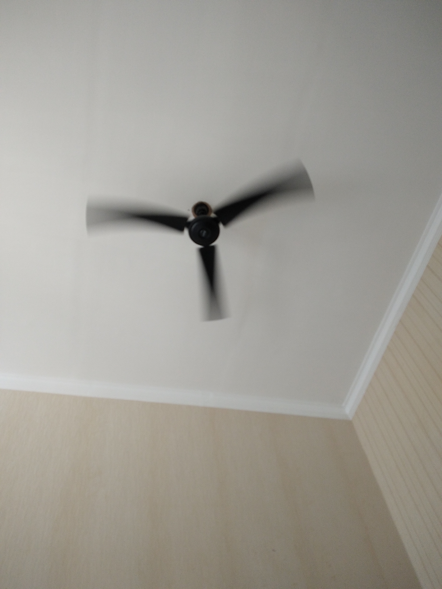 A black ceiling fan with three blades is spinning rapidly on a white ceiling. The motion blur of the fan indicates it is in operation. The ceiling is bordered by white molding. Below the ceiling, the walls are a light beige color with a subtle textured pattern. The image appears to be taken from below, looking upwards. The scene is indoors, likely in a residential or office space. The specific location in Kaliwates, Indonesia, is not discernible from the visual information provided.