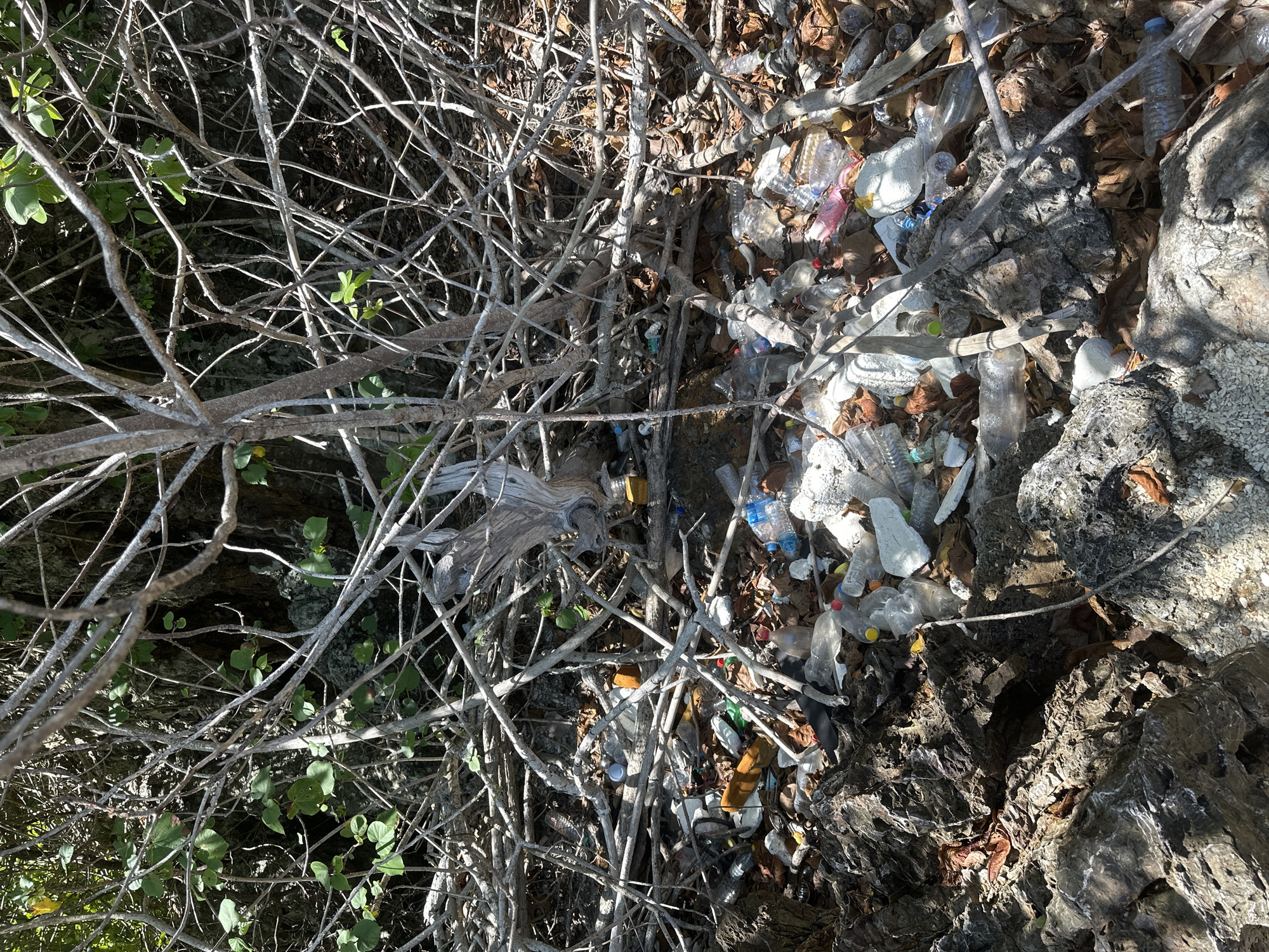 The image shows a rocky shoreline littered with a significant amount of plastic waste. Debris, primarily plastic bottles, bags, and fragments, is scattered amongst rocks, driftwood, and dried leaves. The area appears to be a natural environment, possibly a beach or coastal area, in ตำบลเกาะพะงัน, Thailand, characterized by dense vegetation and exposed rock formations. The waste is densely packed in some areas, indicating accumulation over time. There are no people visible in the image. The overall scene depicts environmental pollution.