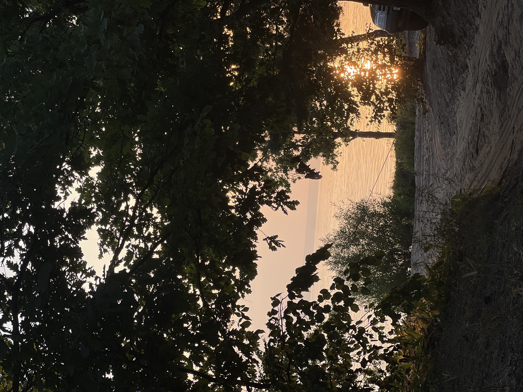 This is a low-angle, close-up shot taken from a sandy area looking towards a body of water and framed by dark, silhouetted tree branches and leaves. The water is a soft orange and reflects the light of the setting sun, which is visible through the trees on the right side of the frame. A single, thin piece of rope or line is stretched horizontally across the middle ground of the image, partially obscured by vegetation. On the far right, a portion of a dark-colored vehicle, likely an SUV, is parked. The foreground consists of dark, textured sand with sparse, dry vegetation. The sky is a pale, hazy orange, indicating a sunset or sunrise. The location is the city of Leninka, Russia.