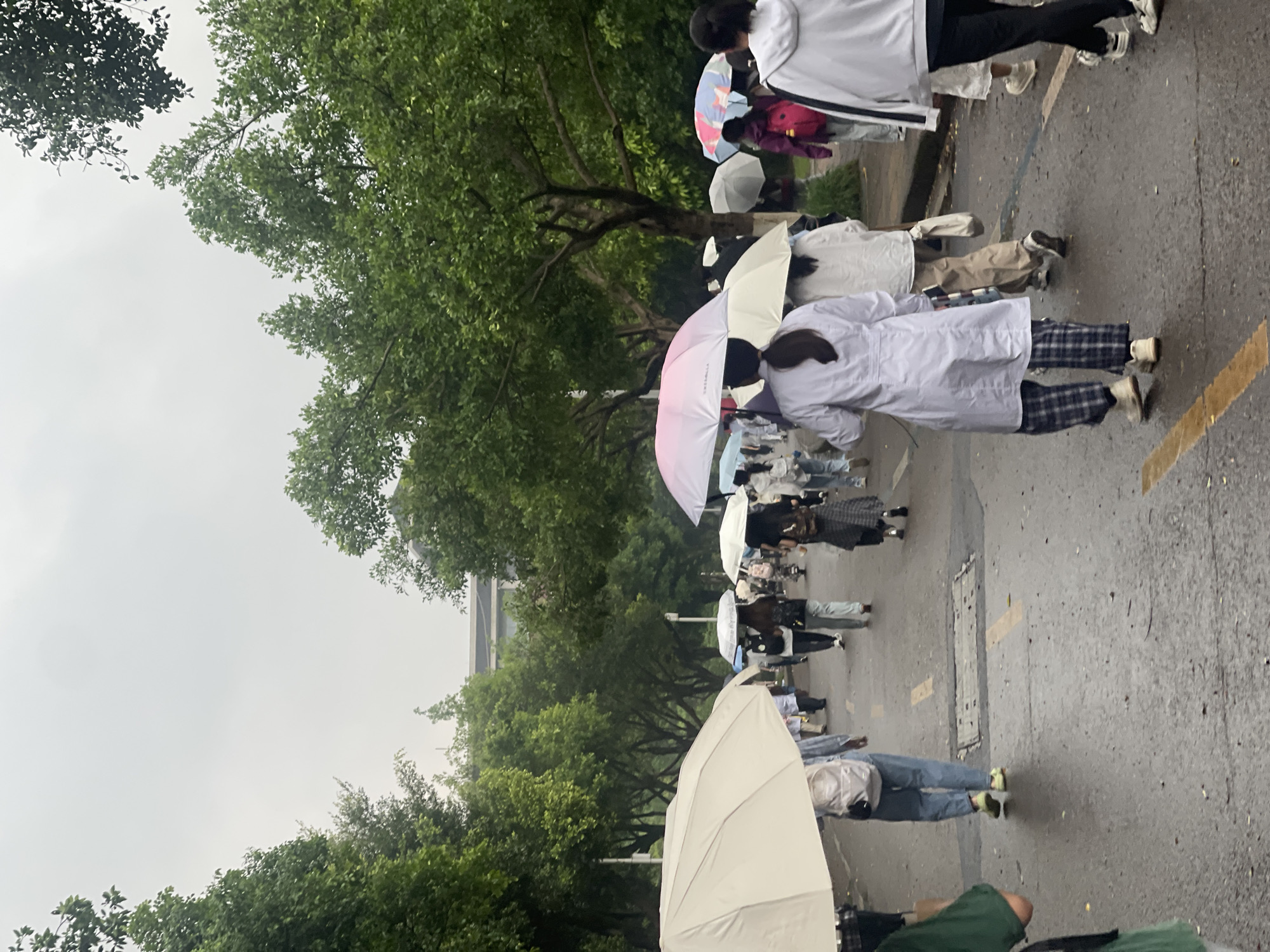The image shows a street scene in the Chongqing High-tech Zone, China, on a rainy day. A line of people walk down the street, most holding umbrellas. The street is wet, and yellow lane markings are visible. Trees line both sides of the street. A bridge is visible in the background. The people are dressed in a variety of clothing, including white coats, jackets, and casual wear.
