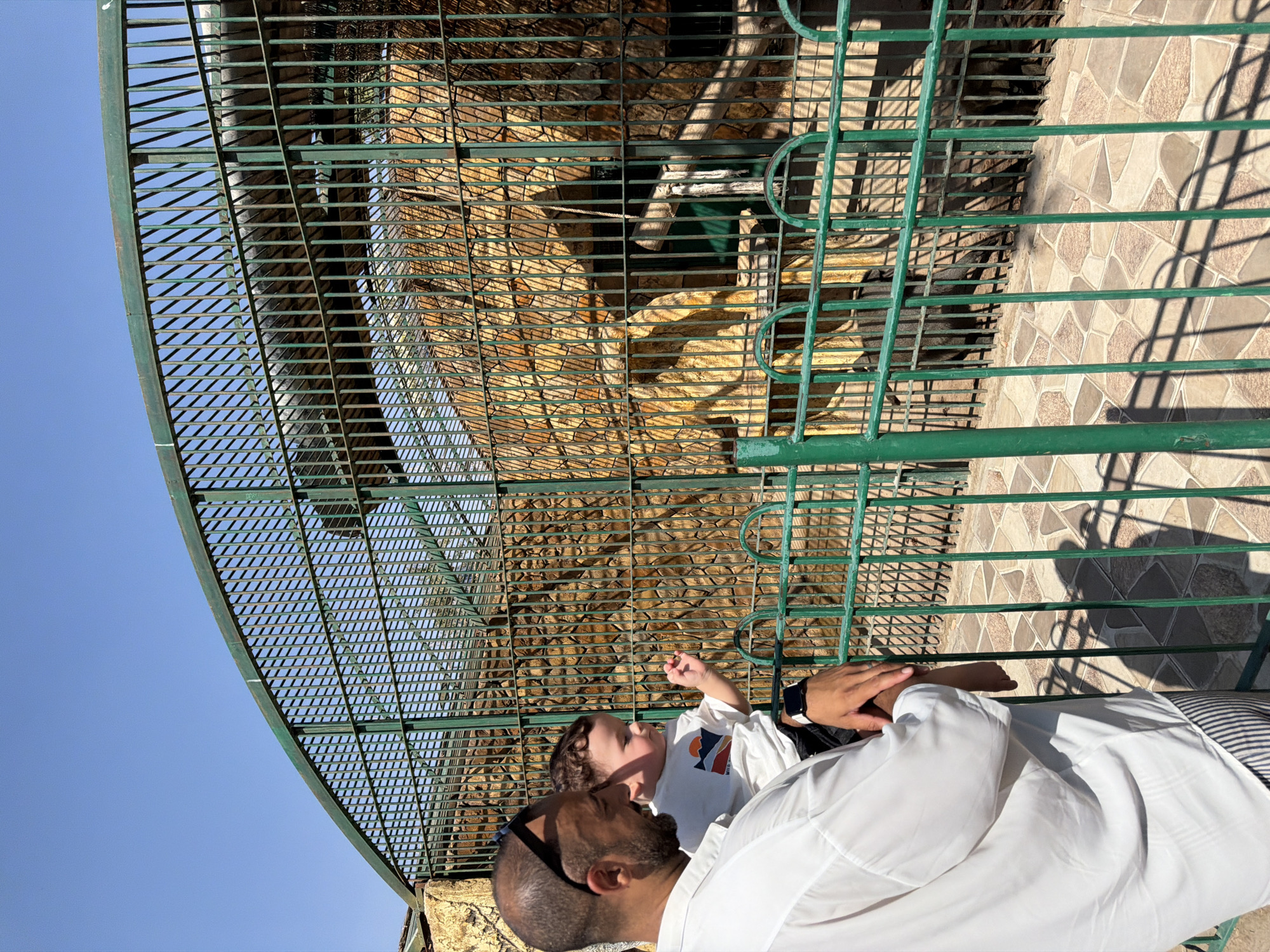 A man in a white shirt and striped pants holds a baby in his arms, both looking into an enclosure at a zoo in Sheikh Zayed, Egypt. The enclosure has a rocky facade and is covered by a green metal fence with diamond-shaped openings. Inside the enclosure, a dark-colored animal, possibly a primate, can be seen partially obscured by the fence. The ground inside and outside the enclosure is paved with irregularly shaped tiles. The sky above is clear and blue, indicating a sunny day.