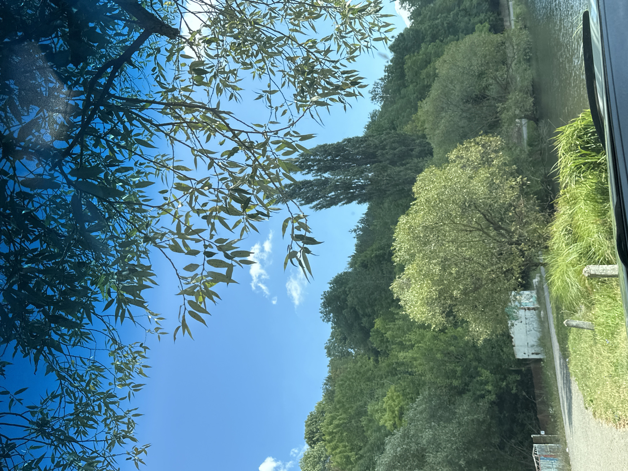 The image shows a view of a lake shore with lush green trees and vegetation under a bright blue sky with scattered clouds. In the foreground, a portion of a vehicle's dashboard and windshield is visible, suggesting the photo was taken from inside a car. A dirt or gravel path runs along the edge of the lake, with two concrete posts near the path. Further back, there is a small, dilapidated white structure with some graffiti on it, and a metal fence. Tall, slender trees are visible in the middle ground, behind the lake. The background is dominated by a dense forest on a gentle slope. The overall scene depicts a natural, rural environment. This location is identified as the city of Makiv, Ukraine.