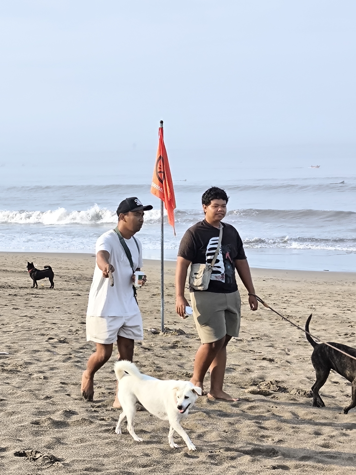 Two men are walking barefoot with dogs on a sandy beach in Tibubeneng, Indonesia. An orange warning flag with the word "SWIMMING" is planted in the sand behind them. The man on the left wears a white shirt and shorts, a black baseball cap, and a shoulder bag. He holds a small object in his hand and a cup. The man on the right wears a dark shirt with a graphic, khaki shorts, and a shoulder bag. He holds a dog leash. There are four dogs: a black dog standing on the left, a white dog in front of the men, and a brindled dog on a leash. Waves are visible on the ocean, and a boat is far off in the distance.