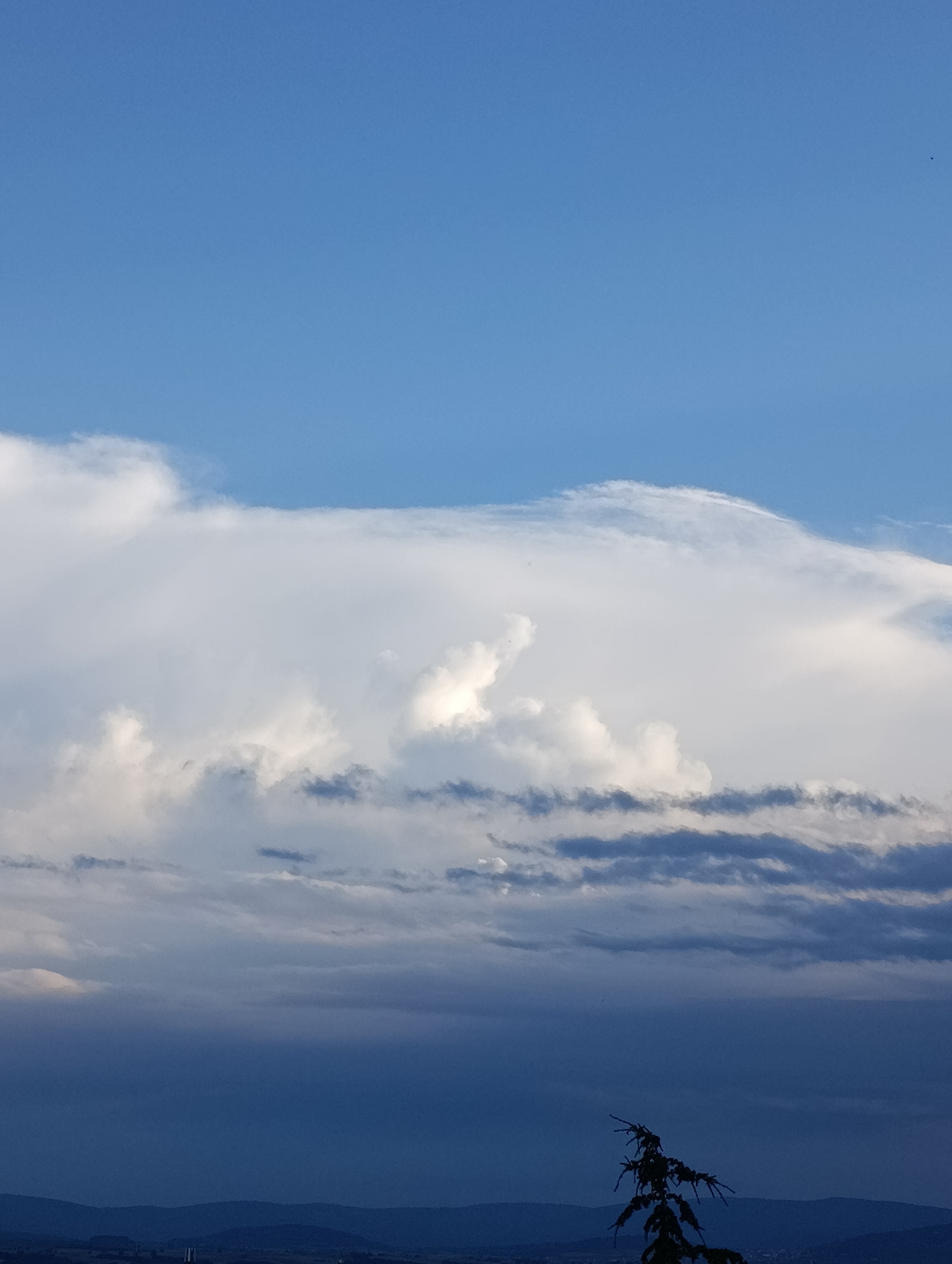 The image depicts a daytime scene of the sky above Svilengrad, Bulgaria. A clear, blue sky occupies the upper portion of the image. Below this, a large bank of cumulus clouds is present, with varying shades of white, grey, and dark blue. The lower portion of the image is significantly darker, indicating either a lower cloud cover or the onset of twilight. A distant horizon with faint outlines of hills or mountains is visible. A dark silhouette of a tree or bush is present in the lower right corner of the frame.