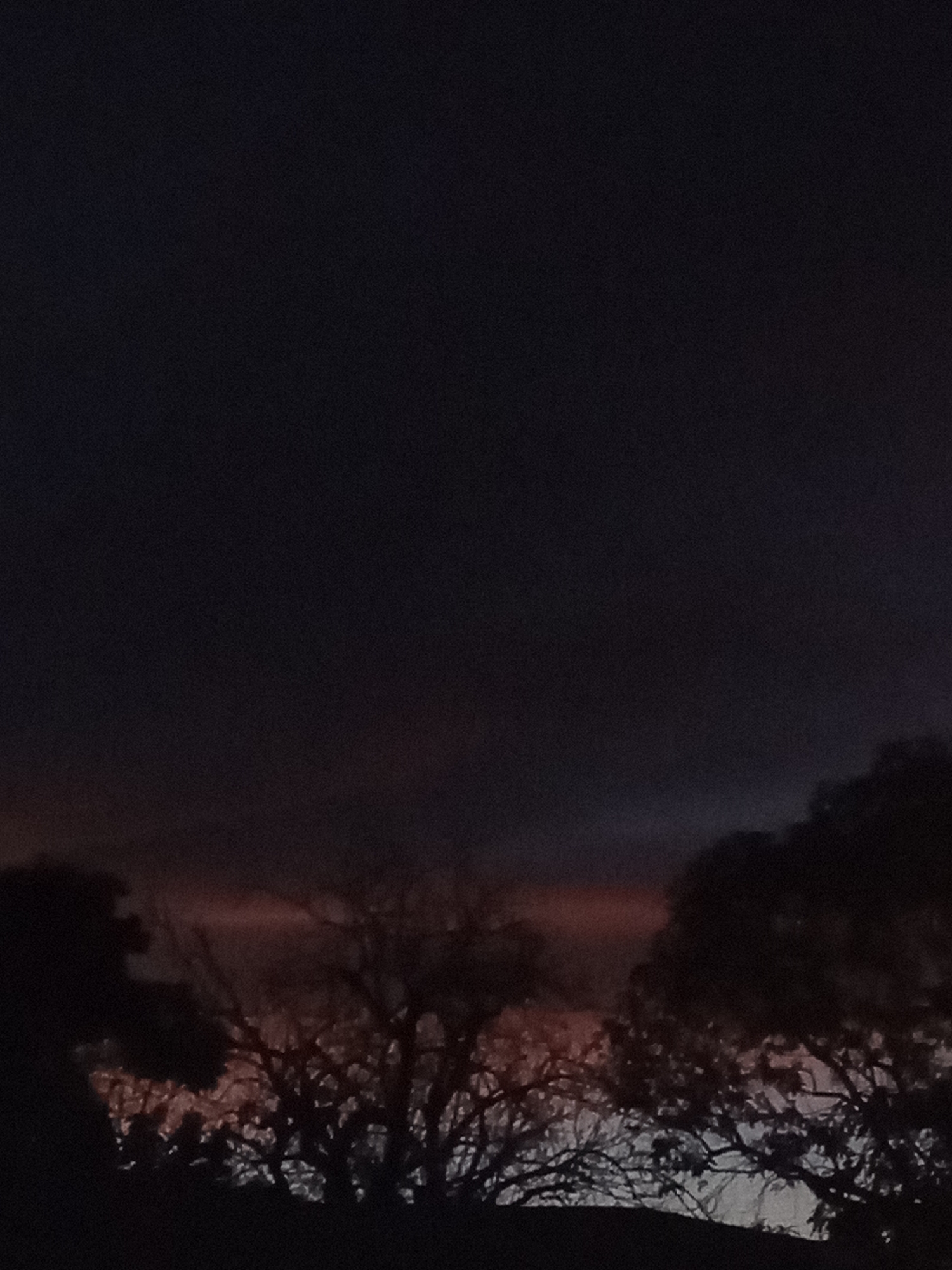 The image depicts a dark scene likely taken during twilight or night in the city of Juan Griego, Venezuela. Silhouetted trees and vegetation occupy the lower portion of the frame. A faint red or orange hue is visible on the horizon behind the trees, suggesting either the setting sun or artificial light. The majority of the image is dominated by a dark sky. No people or identifiable objects other than the trees are visible.