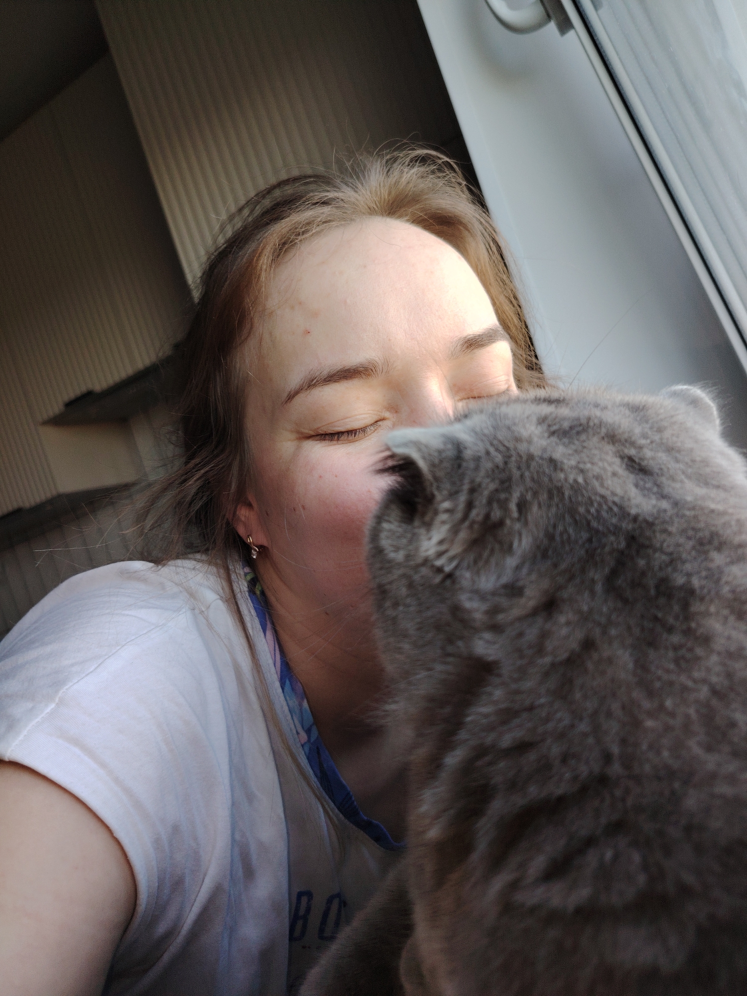 A person with closed eyes is cheek-to-cheek with a gray cat. The person is fair-skinned with light brown hair, wearing a white t-shirt, and has a small earring. The cat is a Scottish Fold, with dense gray fur. The location appears to be indoors, near a window, with light streaming in. The city of Марковский, Russia, is not discernible from the image.