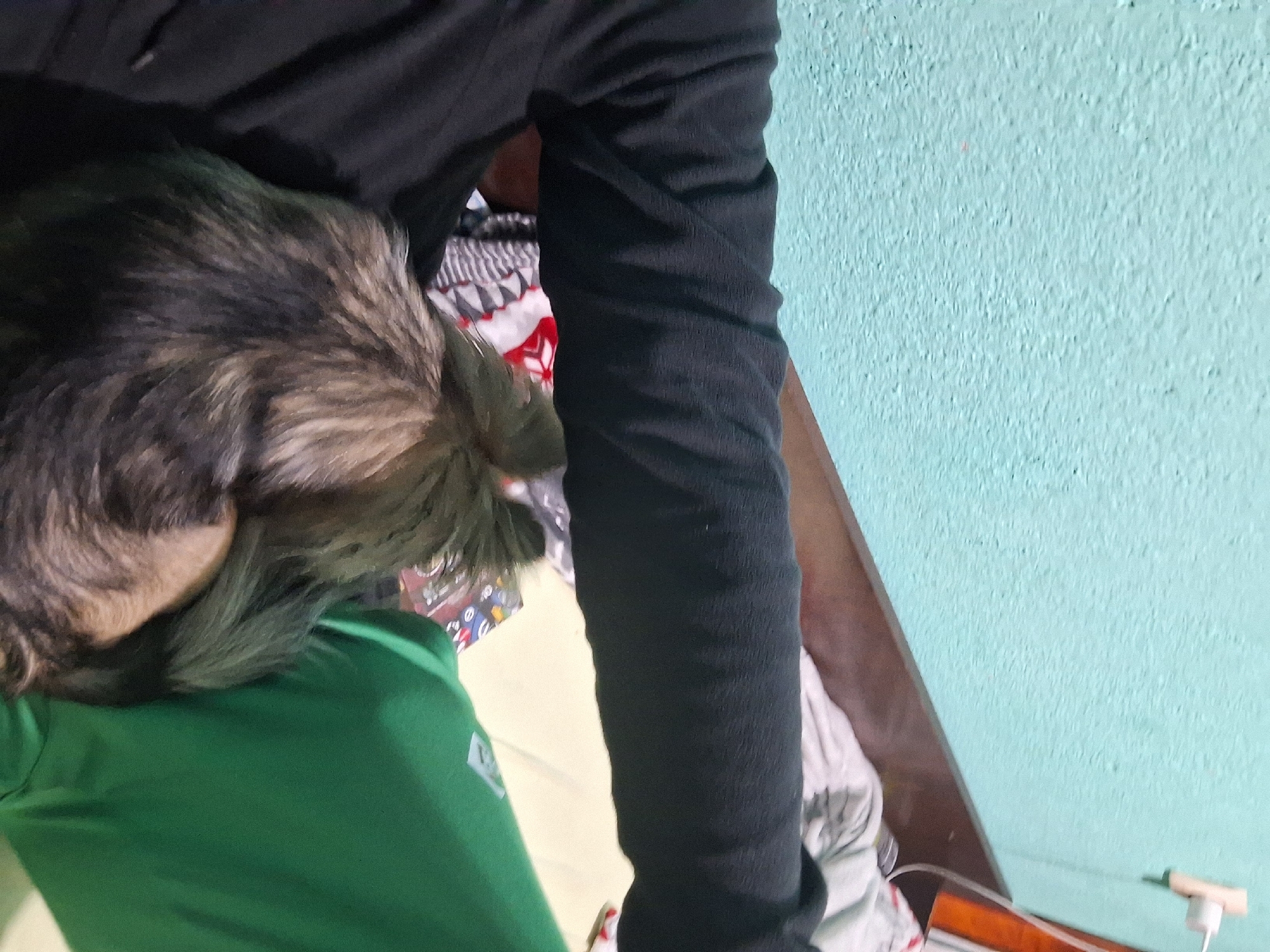 A person wearing black sweatpants and a green shirt is sitting on a bed with a brown and black cat in their lap. The bed has patterned sheets. The wall behind the bed is light blue. The image was most likely taken indoors. It is impossible to determine if the image was taken in Stara Zagora, Bulgaria.