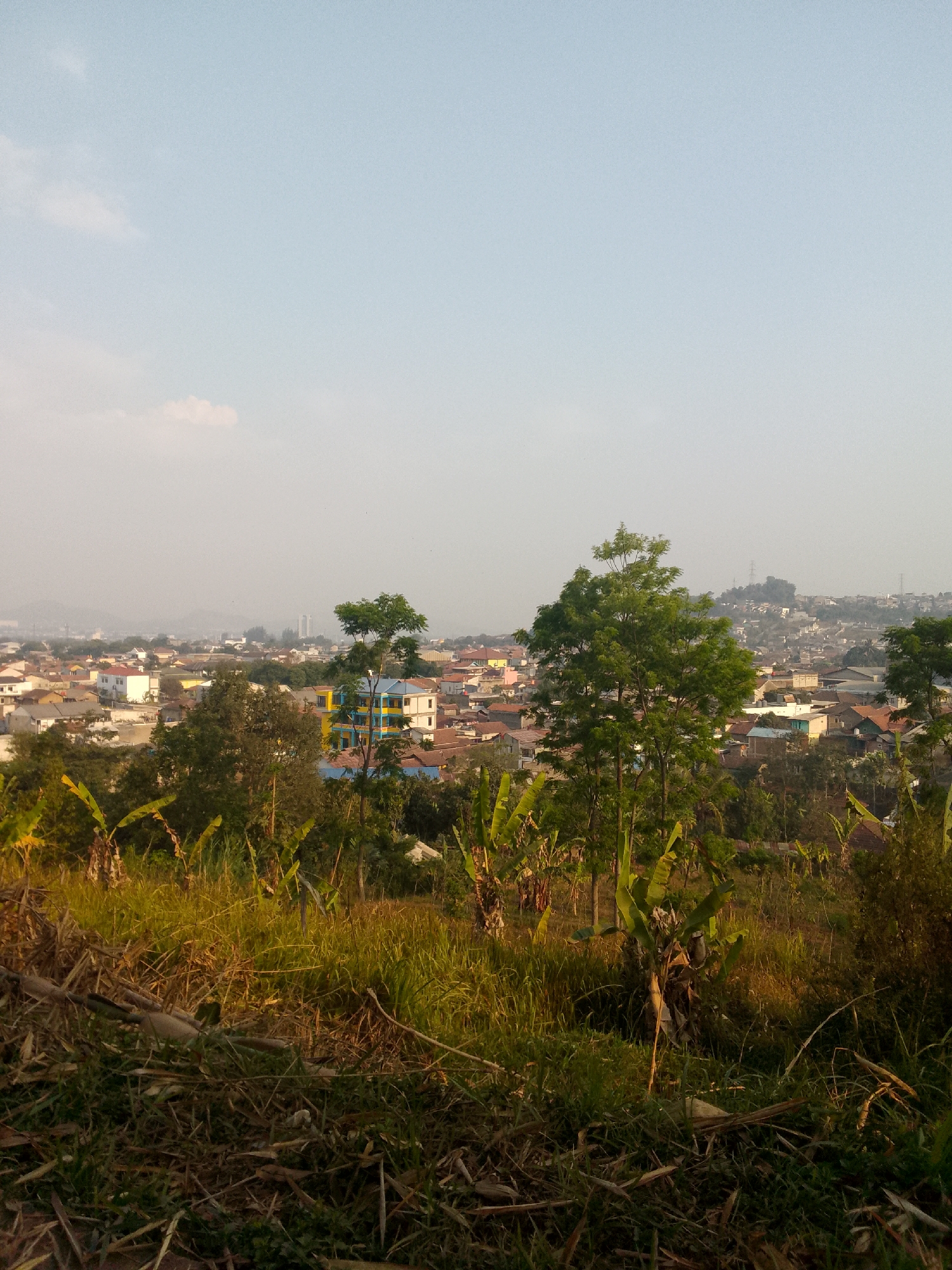 This is a landscape photograph taken from a slightly elevated position, overlooking a suburban area. The foreground is filled with overgrown vegetation, including tall grasses, fallen branches, and banana plants. The middle ground features a cluster of trees, some of which are quite tall and leafy, with a brightly colored building, possibly a school or community center, visible behind them. Beyond the trees, a densely populated residential area stretches across the landscape, characterized by a sea of red-tiled roofs and various buildings, some of which are multi-story. In the distance, a hazy skyline suggests a larger urban or industrial area, with several tall structures, including what appear to be communication towers, dotting the horizon. The sky is a pale blue with a few wispy clouds, indicating it is likely daytime, possibly late afternoon given the soft lighting. The overall scene depicts a transition from a natural, somewhat wild environment to a developed urban or suburban landscape, likely in Padalarang, Indonesia, a region known for its blend of natural scenery and growing residential areas. There are no people or animals visible in the image.
