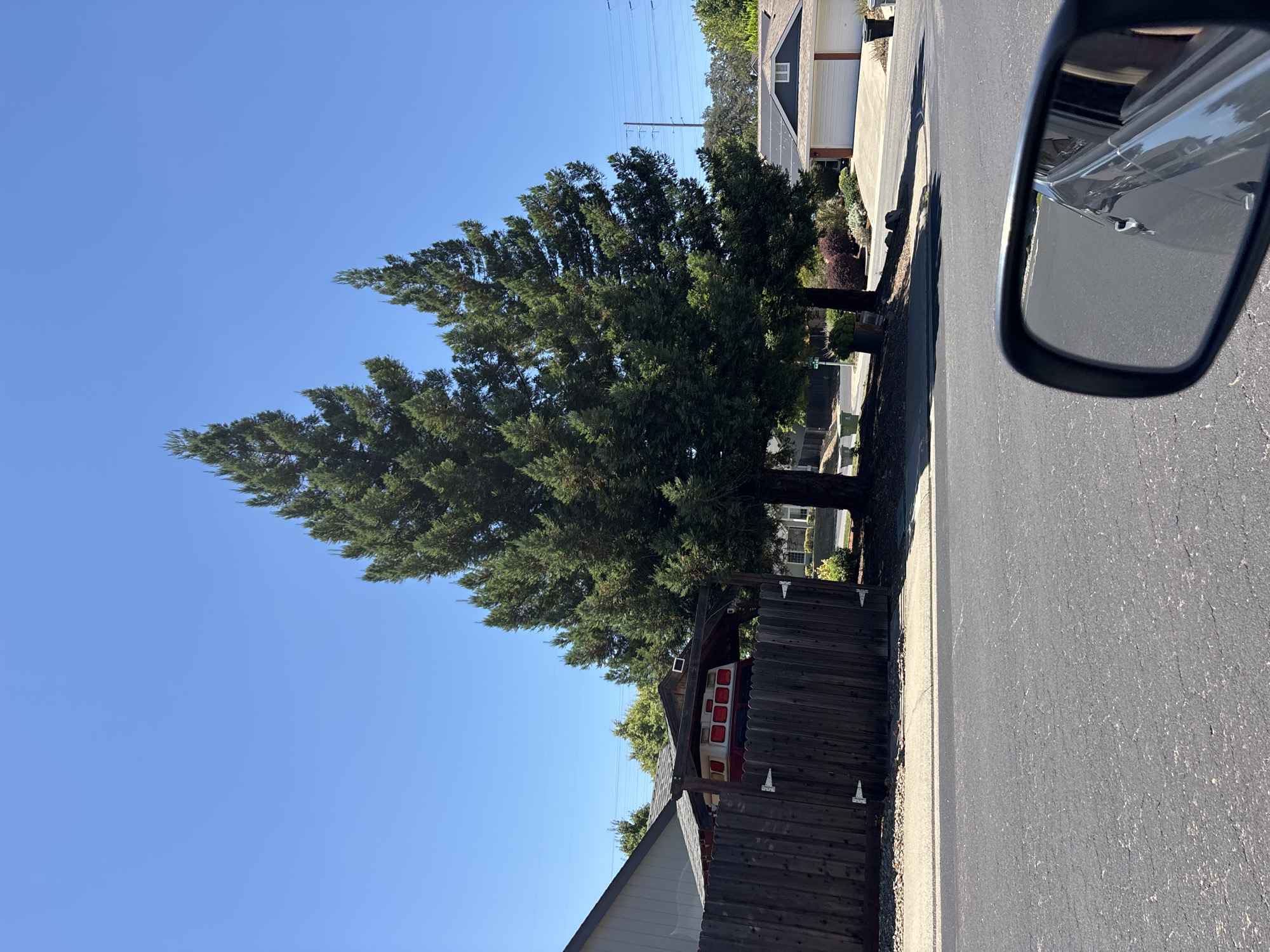 A bright, sunny day with a clear blue sky is depicted in this outdoor scene, taken from the perspective of a car. In the foreground, the asphalt of a residential street is visible, with a car's side mirror reflecting a portion of the vehicle and the road. Beyond the street, a wooden fence borders a property. Inside the fenced area, under a wooden overhang, a vintage red and white vehicle, possibly a camper van with prominent red taillights, is parked. Behind the fence and the unique vehicle, tall evergreen trees dominate the landscape, with their dense green foliage reaching towards the sky. Further in the background, residential houses with garages and solar panels on their roofs are visible, along with utility poles and power lines. The scene is situated in a suburban neighborhood in Folsom, United States of America.