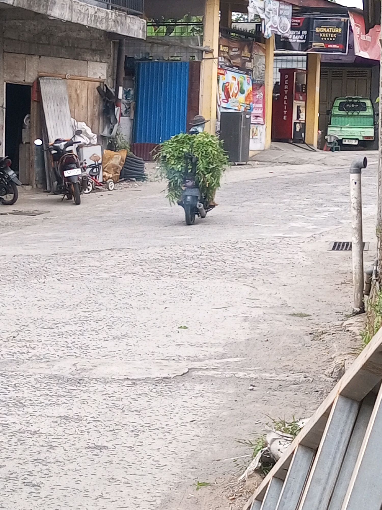In Andongsili, Indonesia, a person wearing a hat and a dark shirt is riding a motorcycle laden with a large bundle of green foliage. The motorcycle is moving down a paved road with a rough, textured surface. On the left side of the road, there are several parked motorcycles and a building with a stone facade and wooden doors. A blue corrugated metal structure is also visible. Further down the road, a red gasoline pump stands beside a green pick-up truck. The scene appears to be in a semi-urban or rural setting, with some commercial elements like the gas station and advertisements.