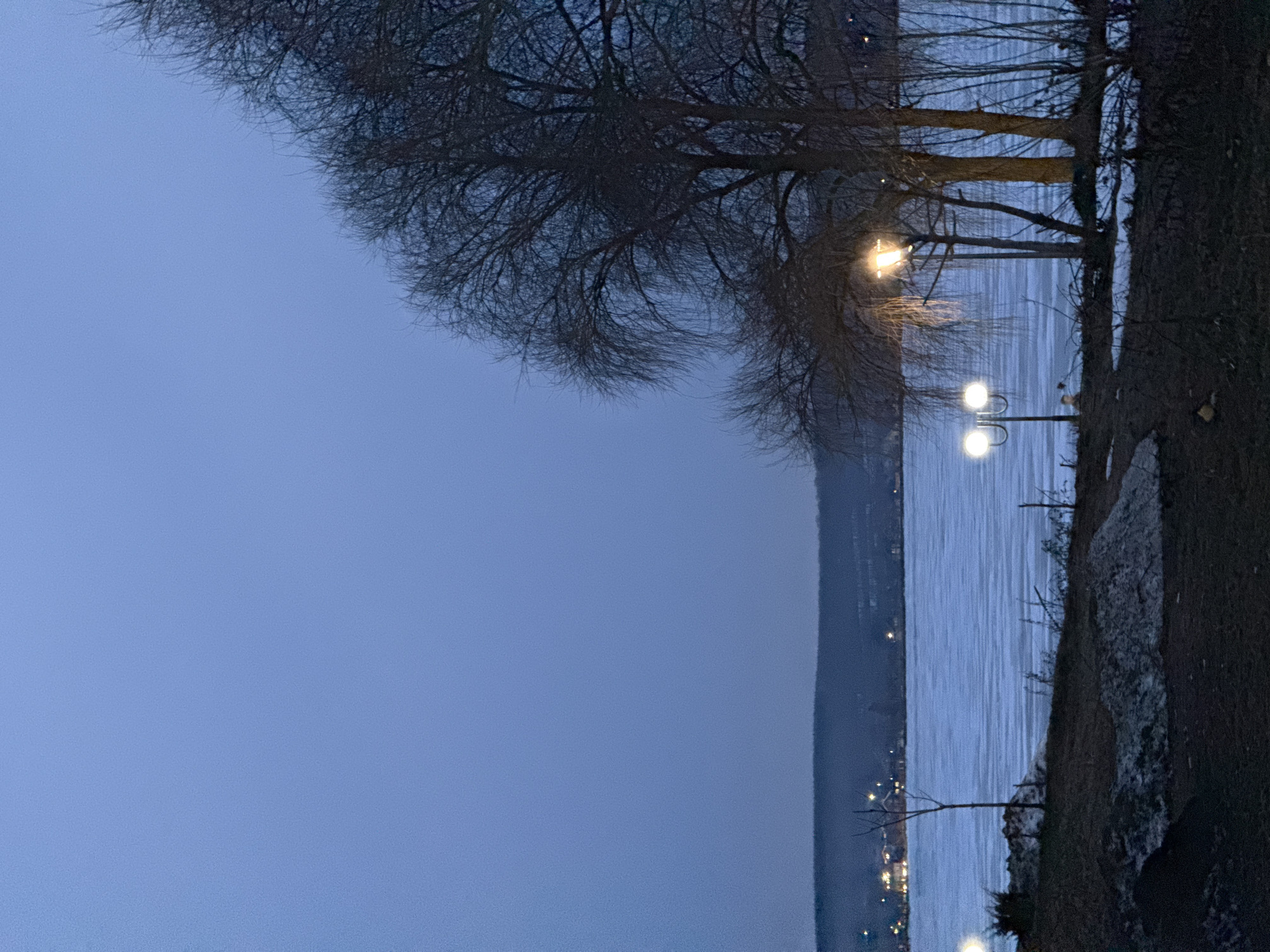 The image depicts a waterfront view, likely at dusk or dawn, in Votkinsk, Russia. The foreground features bare trees along the shoreline, some illuminated by streetlights. A body of water extends into the middle ground, with lights visible across the water, potentially from another part of the city or settlements. The sky is a muted blue, suggesting overcast conditions or twilight. The shoreline is a mix of vegetation and possibly concrete or stone embankment.