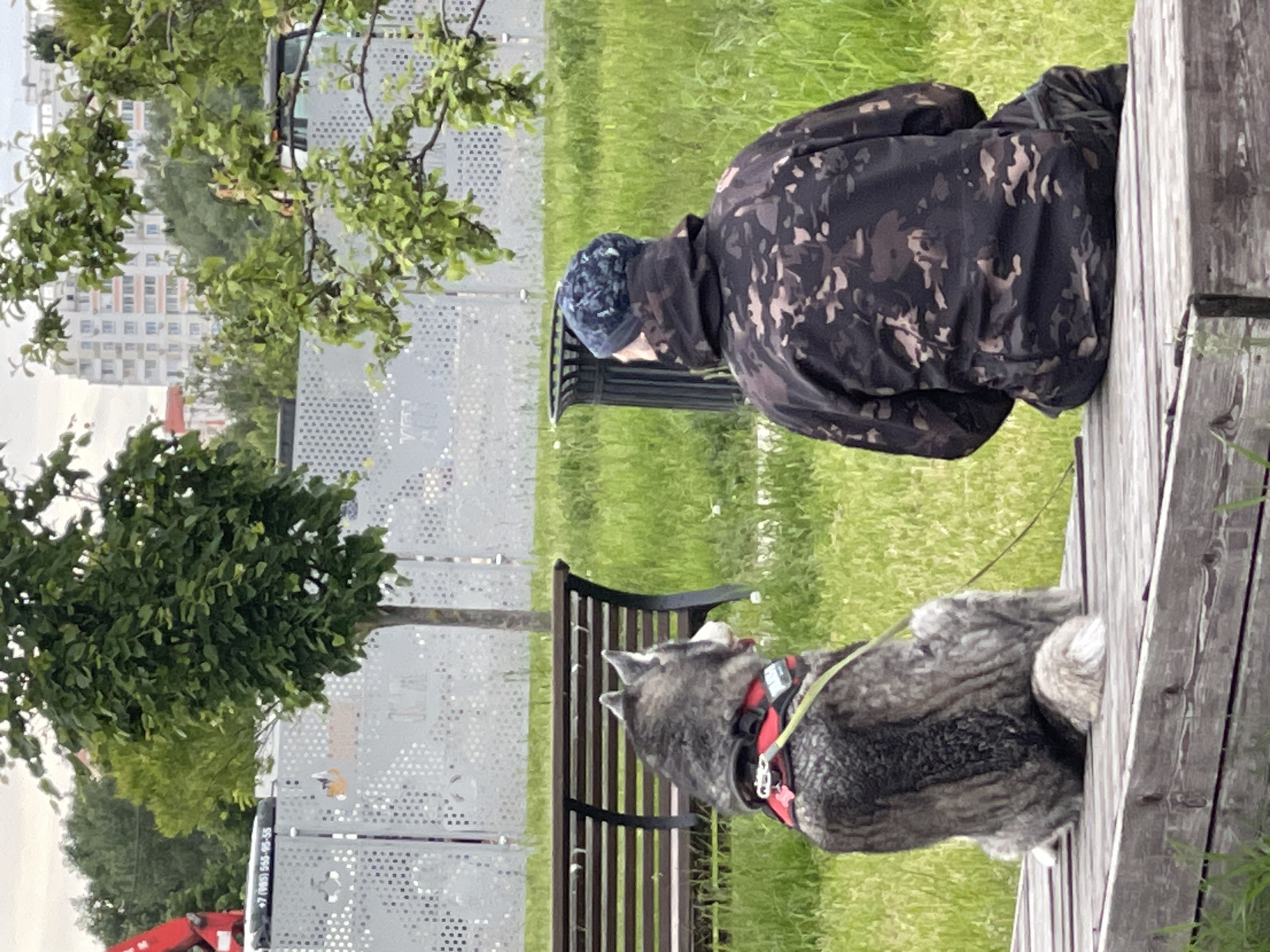 A person wearing a camo jacket and a blue patterned hat sits on a wooden bench in a park next to a husky dog wearing a red harness. The dog sits on the same bench, facing away from the person. The background features green grass, trees, a perforated metal fence, and a tall building in the distance. The building's facade is light-colored with numerous windows. Based on the presence of Cyrillic text on a nearby vehicle, the location is Moscow, Russia.