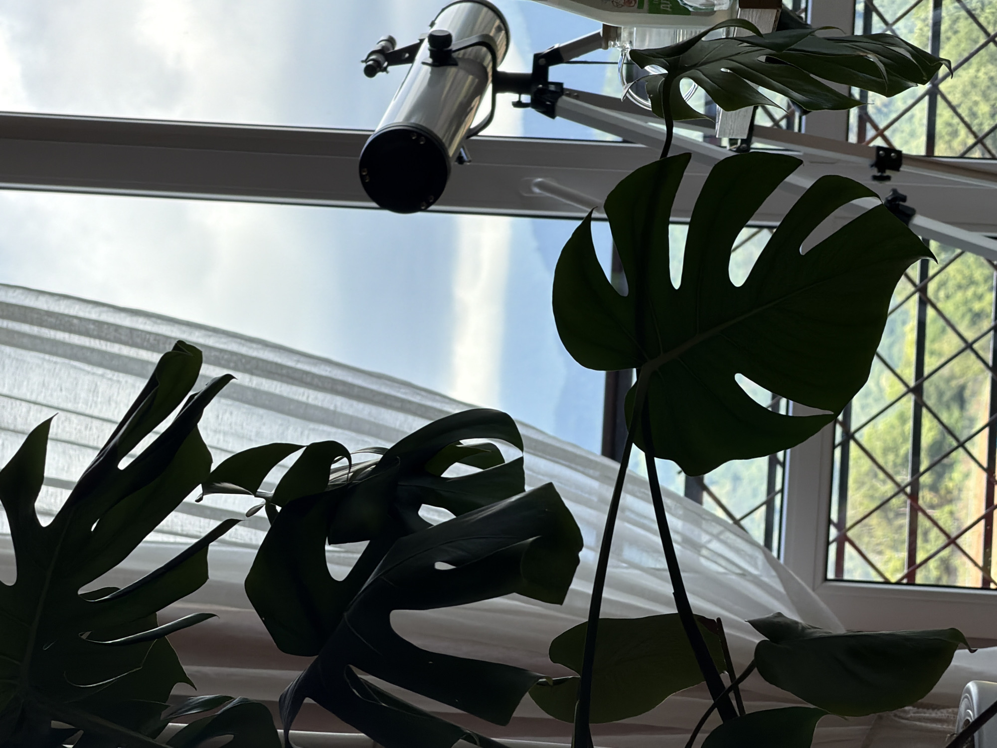 An indoor scene looking out a window, with a large monstera plant in the foreground. The plant's dark green leaves, some with characteristic holes, are silhouetted against a sheer white curtain and a cloudy sky. Through the window, a muted landscape of rolling hills or mountains is visible. To the right of the plant, a silver telescope on a white tripod is positioned, pointing towards the view. A white vertical window frame separates the telescope from the curtain. Below the window, a criss-cross patterned window grille is visible, with greenery and a blurred outdoor scene beyond. The location is identified as Nizhnyaya Shilovka, Russia.