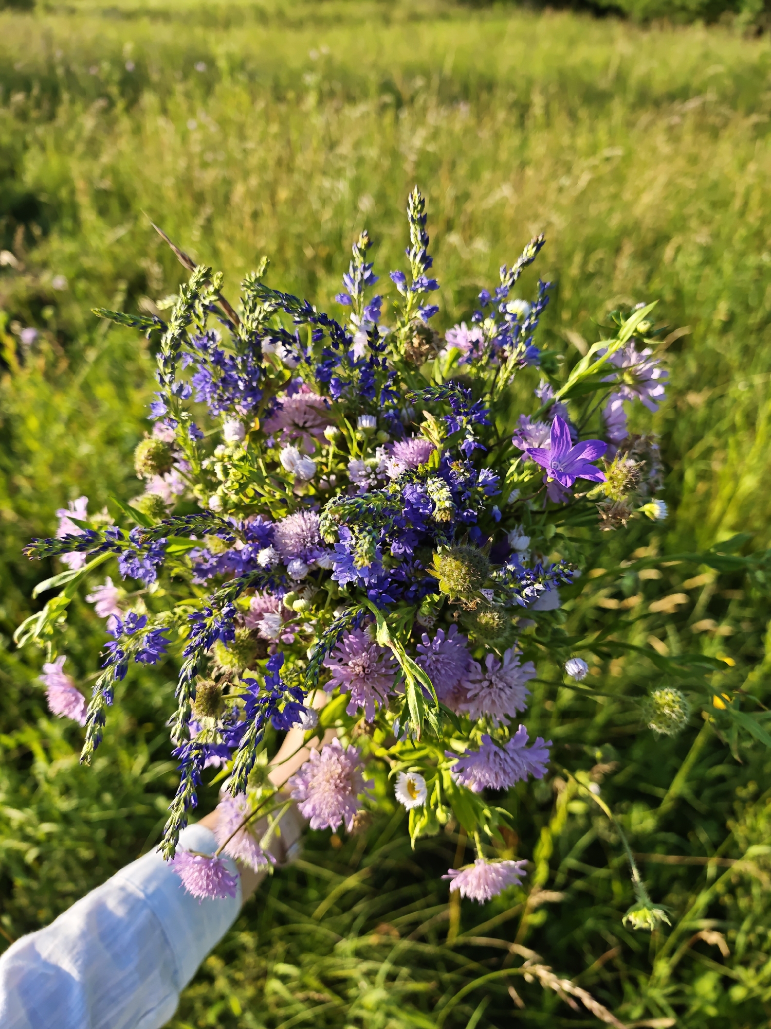 A hand wearing a white shirt is holding a bouquet of wildflowers in a sunlit meadow. The bouquet consists of various purple and pink flowers, including bell-shaped blossoms, spiky purple florets, and round, fluffy pink flowers. The background is a blur of green grass, suggesting a natural, outdoor setting. The image appears to have been taken in Parkhomivka, Ukraine, as indicated by the prompt.