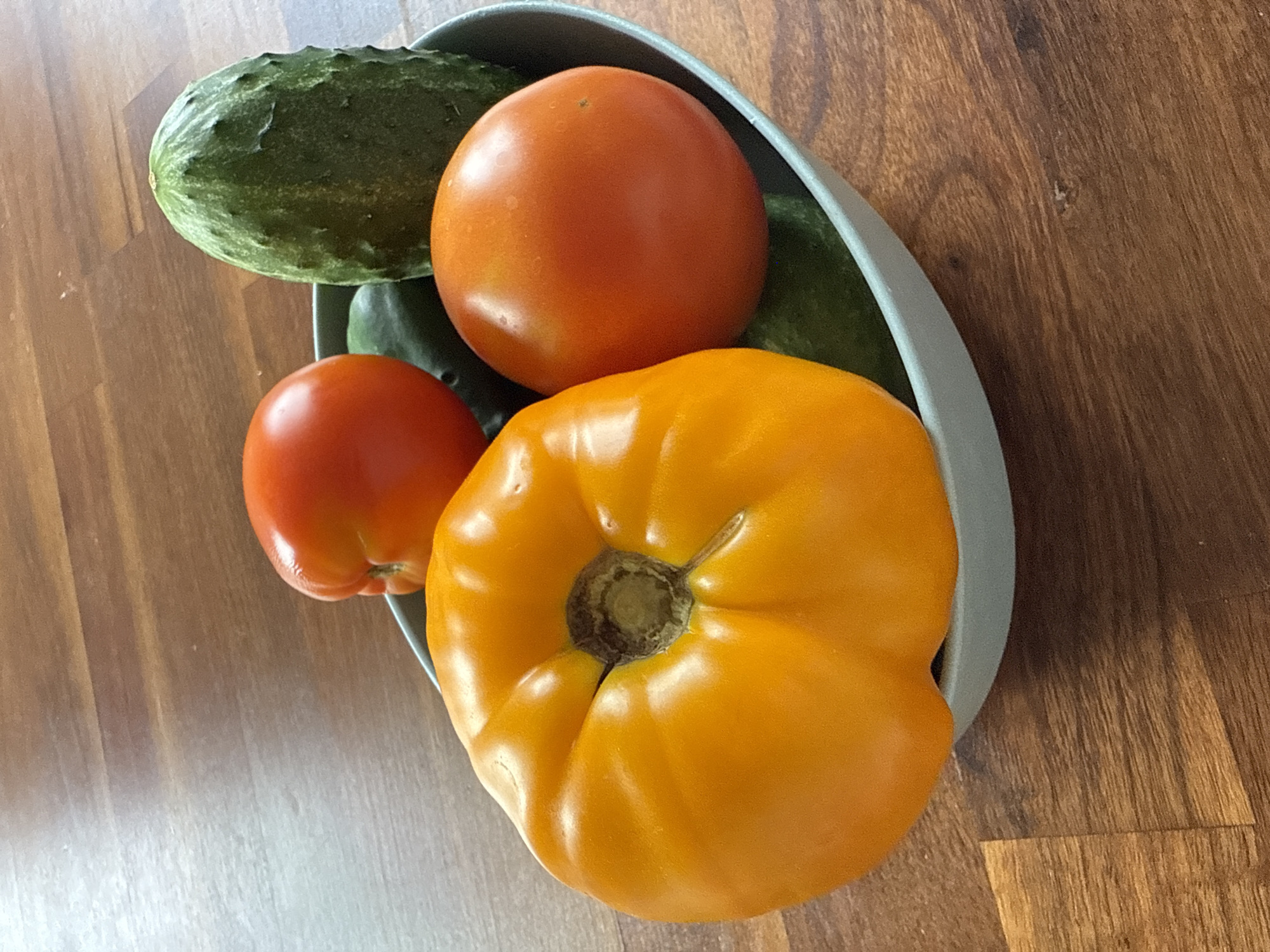 A close-up, eye-level shot shows a light blue bowl filled with various vegetables placed on a dark wooden surface. The bowl contains two dark green cucumbers, one large, ribbed orange tomato, and two smaller, round orange tomatoes. The wooden surface has a visible wood grain pattern. The scene is lit from above, creating subtle shadows. The location is the city of Птицевод-2 Снт, Russia.