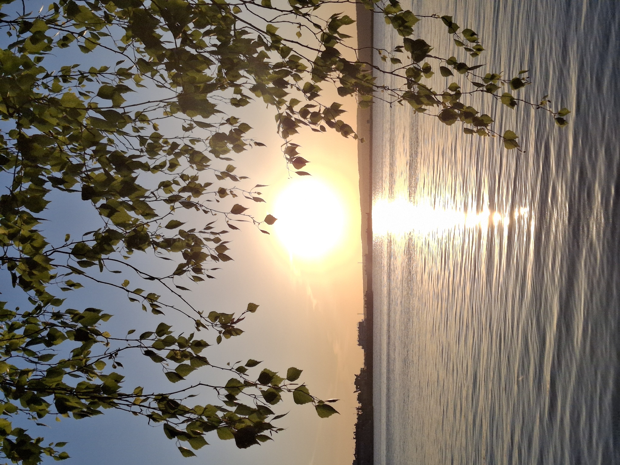 The image captures a sunset over the Kama River in Chaikovsky, Russia. The sun, a bright, round orb, is positioned centrally, reflecting a shimmering path of light across the water's surface. A silhouette of the city skyline can be seen in the distance, along the riverbank. In the foreground, tree branches with green leaves frame the scene, adding depth and obscuring parts of the sky. The water appears calm, with subtle ripples reflecting the sunlight. The overall atmosphere is tranquil and serene.