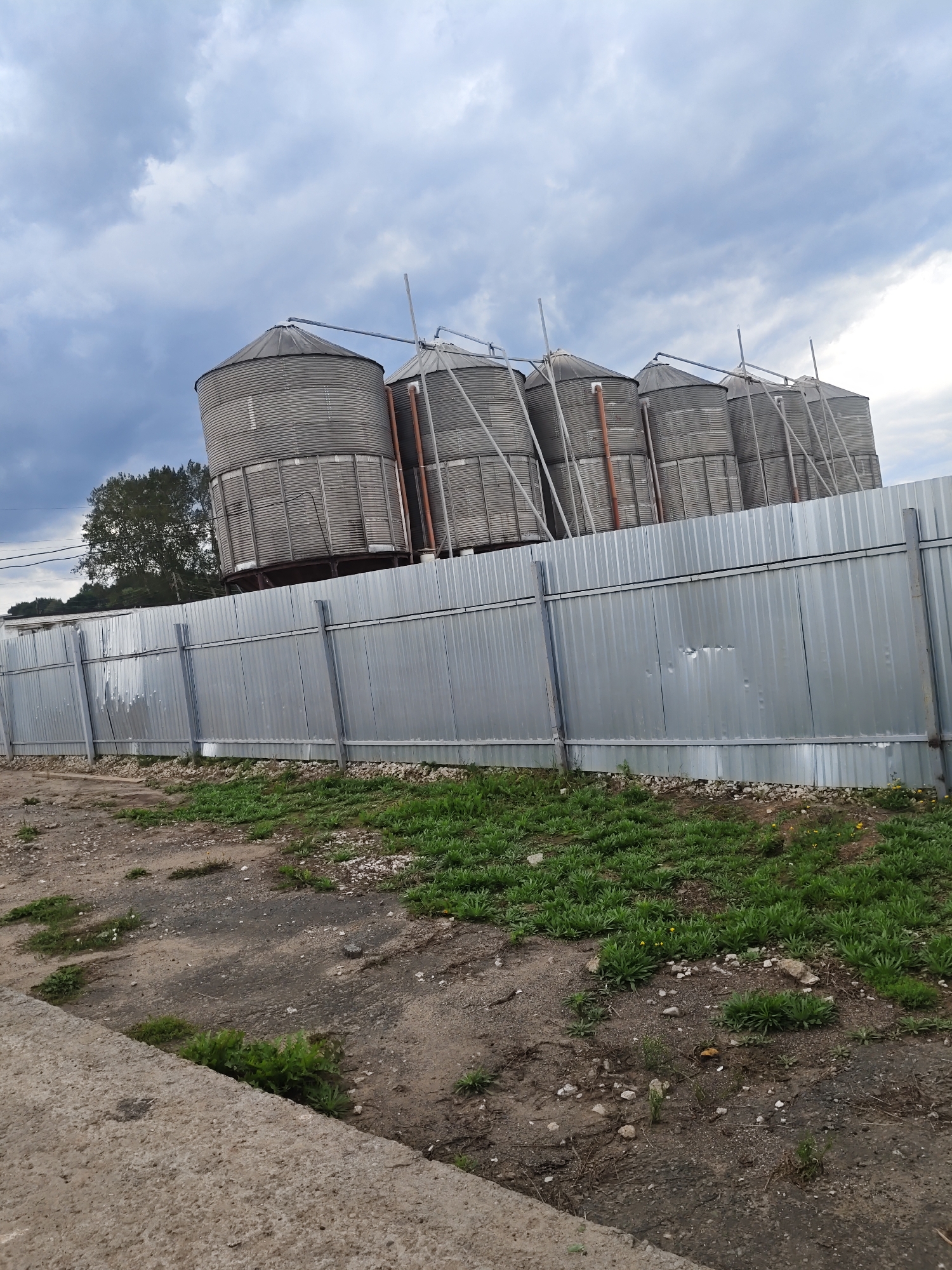A row of five tall, cylindrical grain silos, constructed from corrugated metal, stand behind a silver corrugated metal fence. The silos are angled slightly, with some appearing more tilted than others. They are supported by an elevated structure. The sky above is filled with dramatic, dark gray clouds. To the left of the silos, a portion of a green tree is visible. The fence, which runs horizontally across the image, shows some signs of damage and denting. The ground in front of the fence is a mixture of dirt, gravel, and patches of green grass. A concrete structure is visible in the lower left corner of the image. The overall scene suggests an industrial or agricultural setting.
