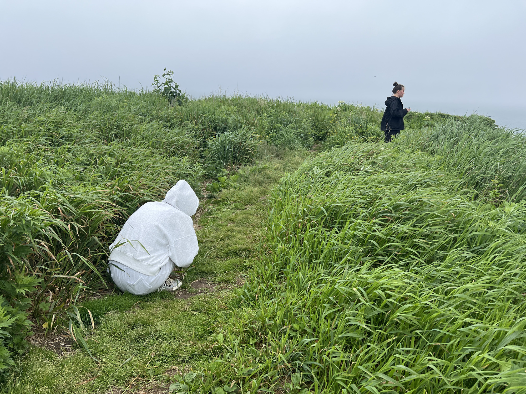 In Tikhoe, Russia, on a grassy cliffside overlooking a hazy ocean, two individuals are present. In the foreground, a person is crouched down, facing away from the camera, dressed in a white hooded sweatshirt and light-colored pants. To the right and further back, another individual stands, wearing a black jacket and dark pants, with their hair in a bun. The landscape is dominated by tall, wind-swept green grass and a cloudy sky. A faint dirt path is visible leading into the grass.