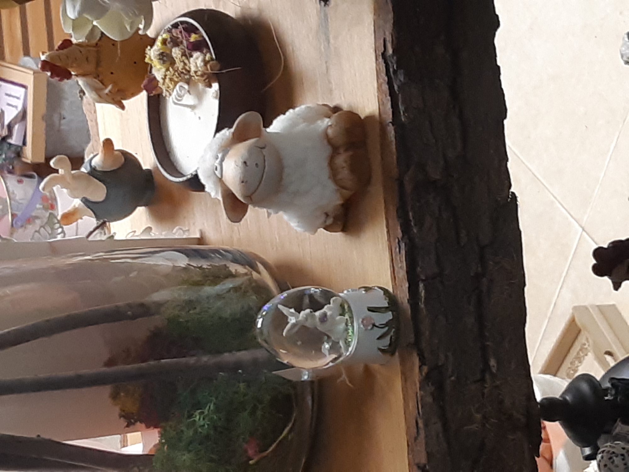 The image shows a wooden surface with several decorative objects. From left to right, there is a glass terrarium containing greenery, a small penguin figurine, a decorative clock with dried flowers, a ceramic sheep, and a snow globe with a white flower inside. A piece of tree bark is visible on the right side of the surface. The image was taken at the Historical museum on ul. "Todor Ikonomov" 18 in Plovdiv, Bulgaria.