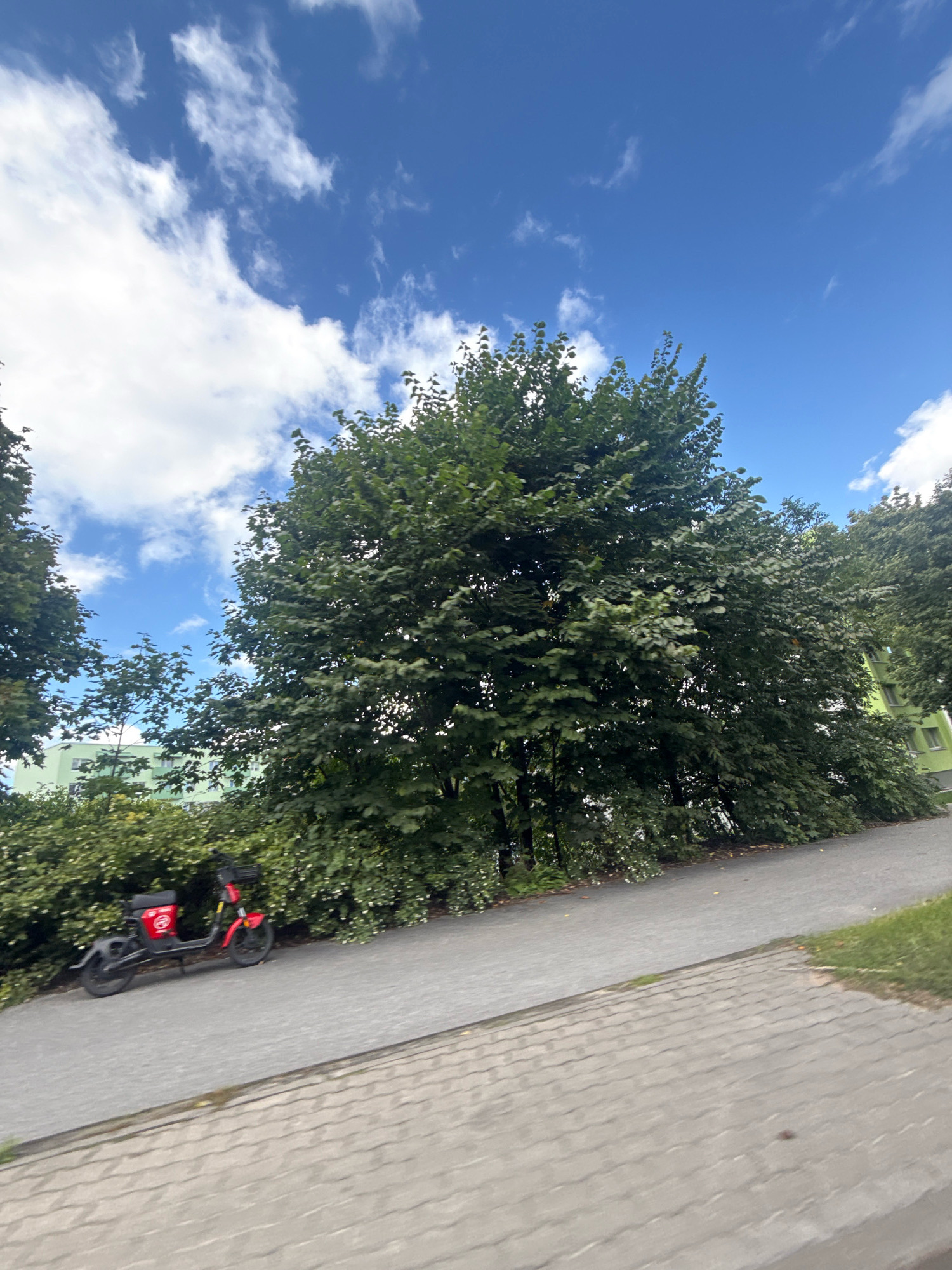 The image depicts an outdoor scene with a bright blue sky dotted with white clouds. In the foreground, a paved pathway runs diagonally across the frame. To the left of the pathway, a red electric scooter with a black seat and black wheels is parked. The scooter has a circular logo with red and white elements on its side. Behind the scooter and pathway, a dense line of lush green trees and bushes forms a backdrop. In the distance, a portion of a light green building is visible through the foliage. The overall environment suggests a park or residential area within a city. The scene is static and shows no people.