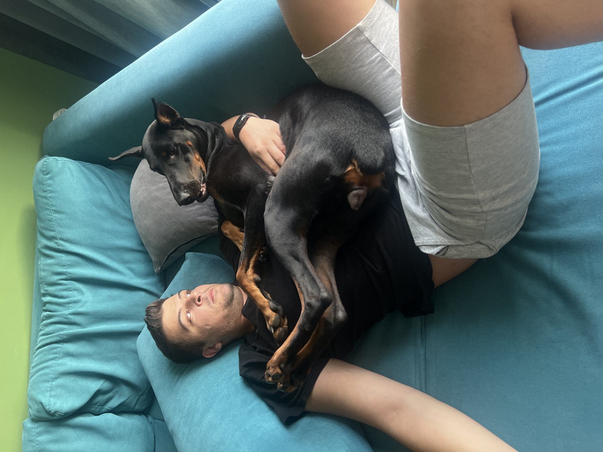 A man and a Doberman Pinscher are lying on a turquoise sofa. The man is wearing a black t-shirt and grey shorts. He is lying on his back, with his head resting on a pillow and his left arm extended. The dog is lying on its back, on top of the man, with its paws resting on the man's chest. The dog's head is resting on the man's shoulder. The background is a green wall. The scene appears to be in a home environment, not in Sofia, Bulgaria.