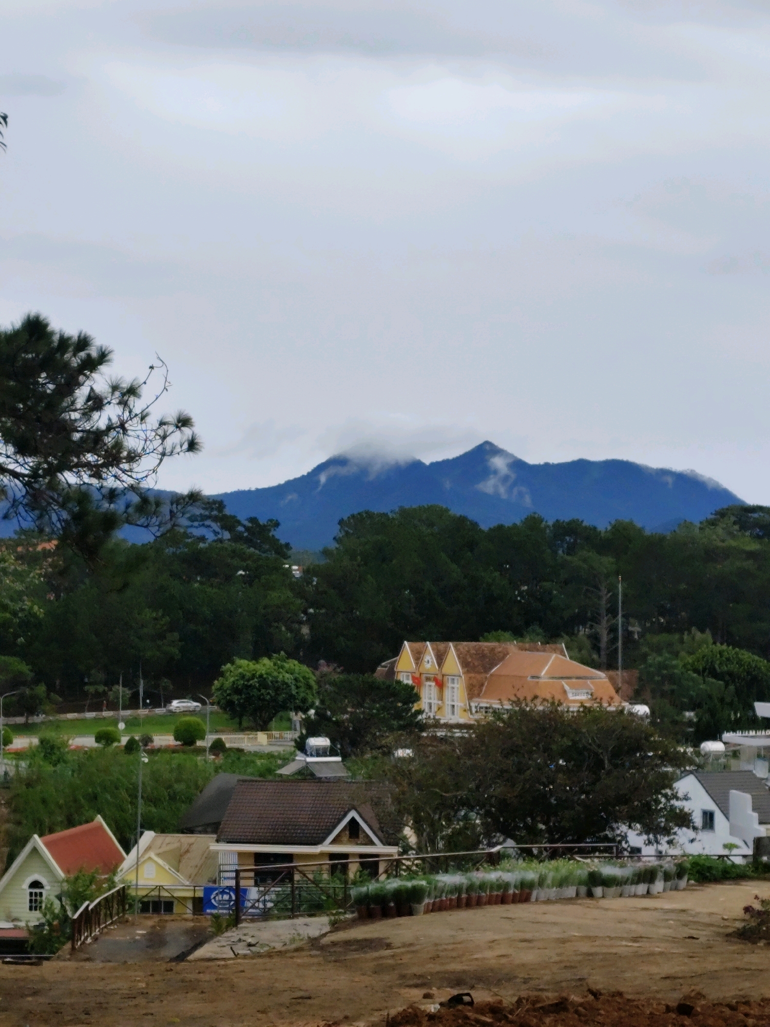 This image captures a scenic view of Da Lat, Vietnam, on an overcast day. In the foreground, a dirt path leads to several small houses with distinct architectural styles. The house on the left is painted green with a white trim and features a prominent window. Next to it is a yellow house with a brown roof, and further to the right, a white house with a dark roof is partially visible. A row of potted plants lines the area in front of the houses, suggesting a nursery or garden center.
In the midground, a large, ornate yellow building with a red-tiled roof stands out, adorned with flags and multiple windows. Behind this building, a dense forest of dark green trees stretches across the landscape. Beyond the trees, majestic mountains rise into the distance, their peaks partially obscured by soft, white clouds. The overall atmosphere is tranquil and slightly melancholic due to the cloudy sky. The scene suggests a residential or commercial area on the outskirts of Da Lat, characterized by its blend of European-inspired architecture and natural mountainous surroundings.