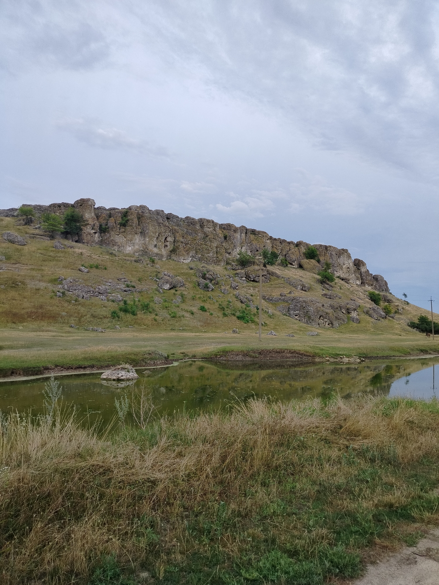 The image depicts a natural landscape with a rocky hill and a body of water in the foreground. The hill is covered in dry grass and scattered rocks, with a few small trees growing on its slopes. The top of the hill is characterized by rugged rock formations. A calm body of greenish water reflects the hill and the overcast sky. In the foreground, dry grasses and some green vegetation line the edge of the water. A small rocky island is visible in the water. Electrical poles are present on the slope of the hill. The sky is cloudy, suggesting an overcast day. This scene is located in Cobani, Moldova.