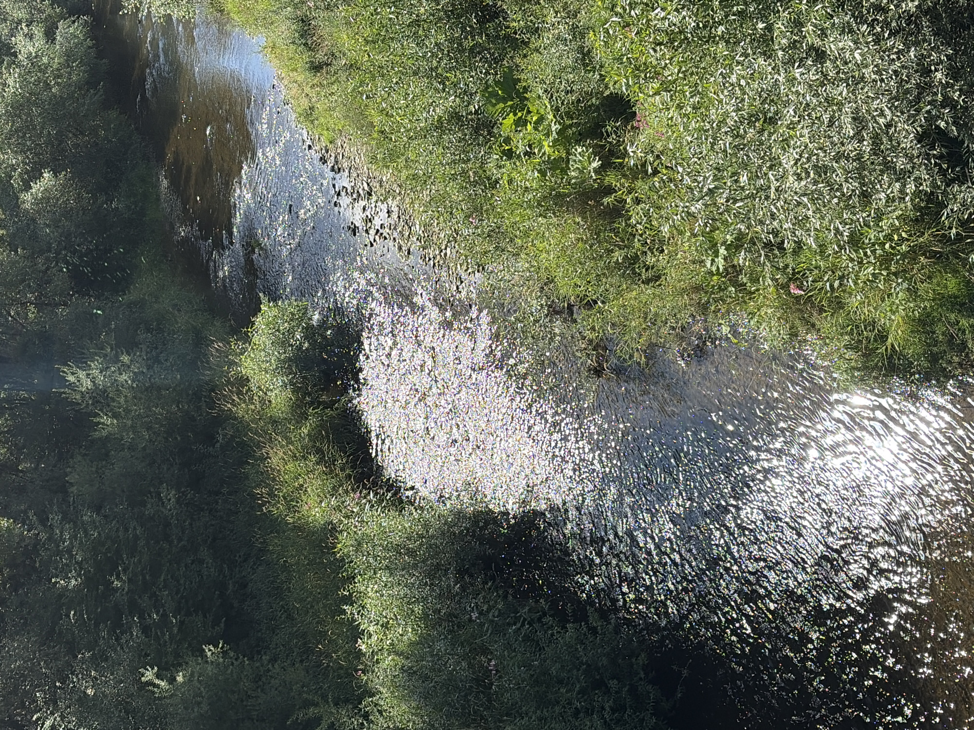 The image is an aerial view of a stream flowing through a lush, green environment. The stream itself is dark, with the surface of the water catching the sunlight and creating a shimmering, dappled effect. The banks of the stream are covered in dense foliage, with a variety of green plants and trees. The vegetation is abundant and appears to be healthy, suggesting a well-watered environment. The sunlight is bright, indicating it is likely daytime, possibly mid-morning or afternoon, and the weather appears to be clear and sunny. The overall impression is one of a tranquil natural setting, untouched by human development. There are no people or man-made objects visible in the image. The focus is solely on the natural beauty of the stream and its surroundings. The angle of the shot provides a unique perspective, as if observing the scene from above, perhaps from a drone or a high vantage point. The detailed texture of the water's surface and the individual leaves of the plants are discernible, contributing to the sense of realism.