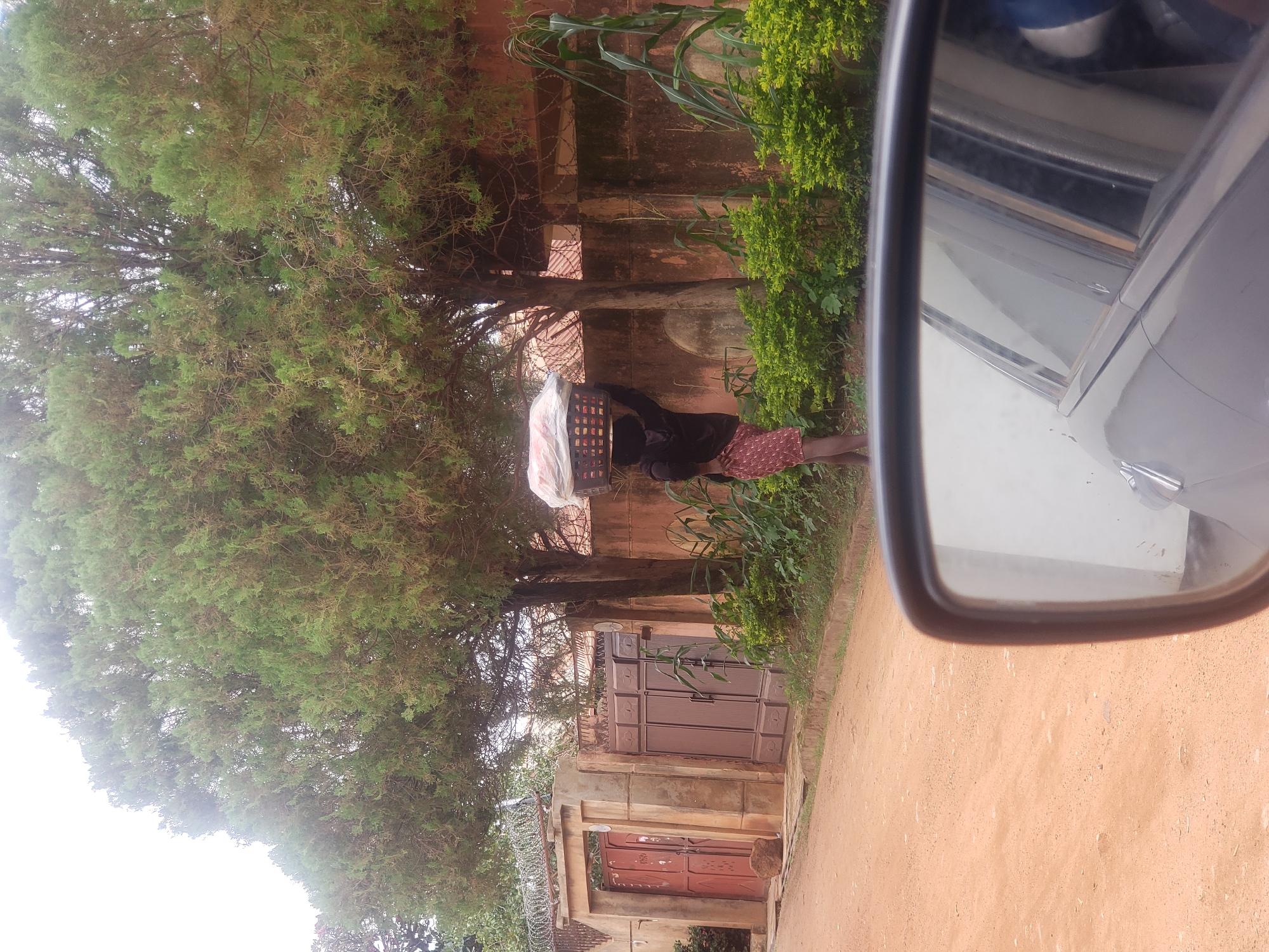 In Narayi, Nigeria, a woman walks along a dirt road, balancing a large basket of goods on her head. She is wearing a dark long-sleeved shirt and a patterned skirt. The basket is covered with a light-colored plastic sheet. Behind her, a large wall with a double gate and barbed wire fencing encloses a property. Tall trees with dense green foliage line the wall, and lush green bushes grow along the roadside. In the foreground, a car's side-view mirror reflects the road and a portion of the car's interior. The sky is overcast and bright.