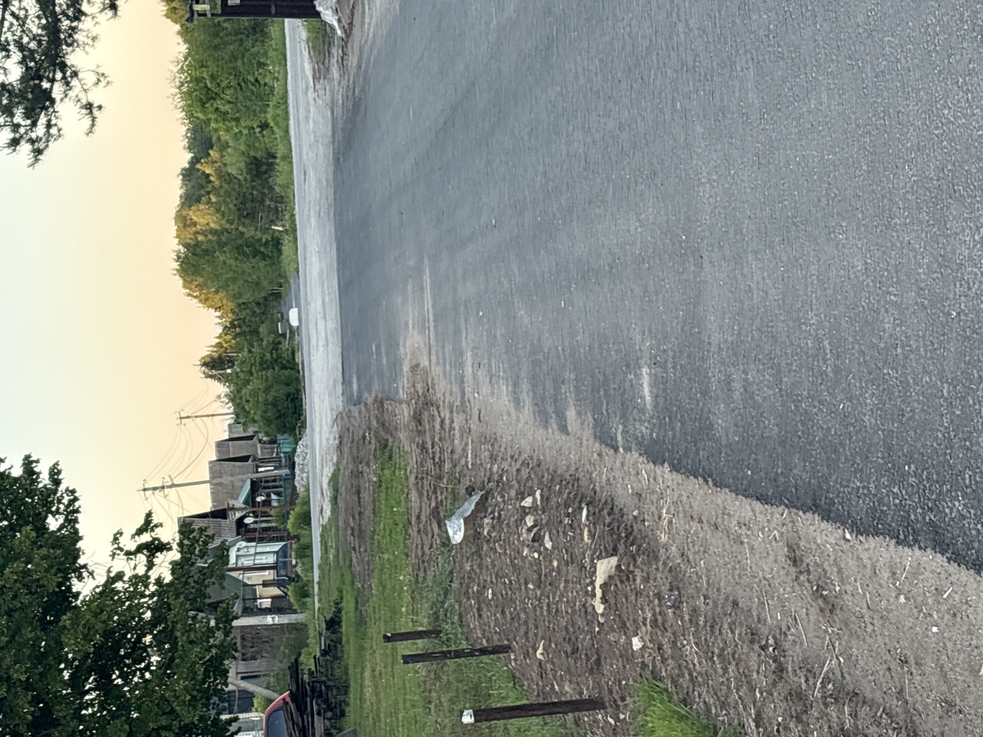 A photograph captures a rural or semi-rural scene, likely at sunrise or sunset, indicated by the soft, warm light in the sky. A paved asphalt road extends from the mid-ground towards the upper right of the frame. To the left of the road is a wide, unkempt verge consisting of dirt and sparse green grass. This verge contains scattered litter, including a crumpled white plastic bottle and other small pieces of debris. In the lower-left foreground, two dark, upright posts stand on the grassy area. Part of a red vehicle, possibly a car or truck, is visible behind these posts in the bottom-left corner.
In the mid-ground and background, on the left side of the image, there is a cluster of varied small buildings or structures, potentially houses or sheds, featuring different rooflines and appearing somewhat rustic. Overhead utility poles and wires are visible against the sky above these structures. A dense line of green trees and foliage forms a natural boundary across the mid-ground and background, particularly along the right side of the road. The sky on the upper-left exhibits a gentle gradient of pale orange and yellow hues. No individuals or specific activities are observable, and there is no visible text within the frame. The weather appears clear.
