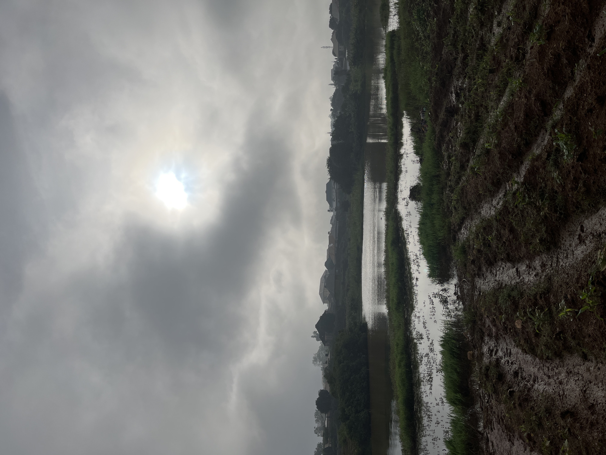 The image depicts an overcast sky with the sun partially obscured by clouds, casting a diffused light over a rural landscape. In the foreground, there is a muddy field with rows of young crops and visible tire tracks from agricultural machinery. Adjacent to the field is a body of water, possibly a pond or flooded area, with patches of green grass growing along its edges. In the background, a line of trees separates the water from a settlement of houses with pitched roofs, some of which appear to be residential buildings. The overall scene suggests a humid or recently rained-upon environment. The location is identified as a rural area on the outskirts of Jos, Nigeria, characterized by agricultural land and a small residential community. There are no people or animals visible in the image.