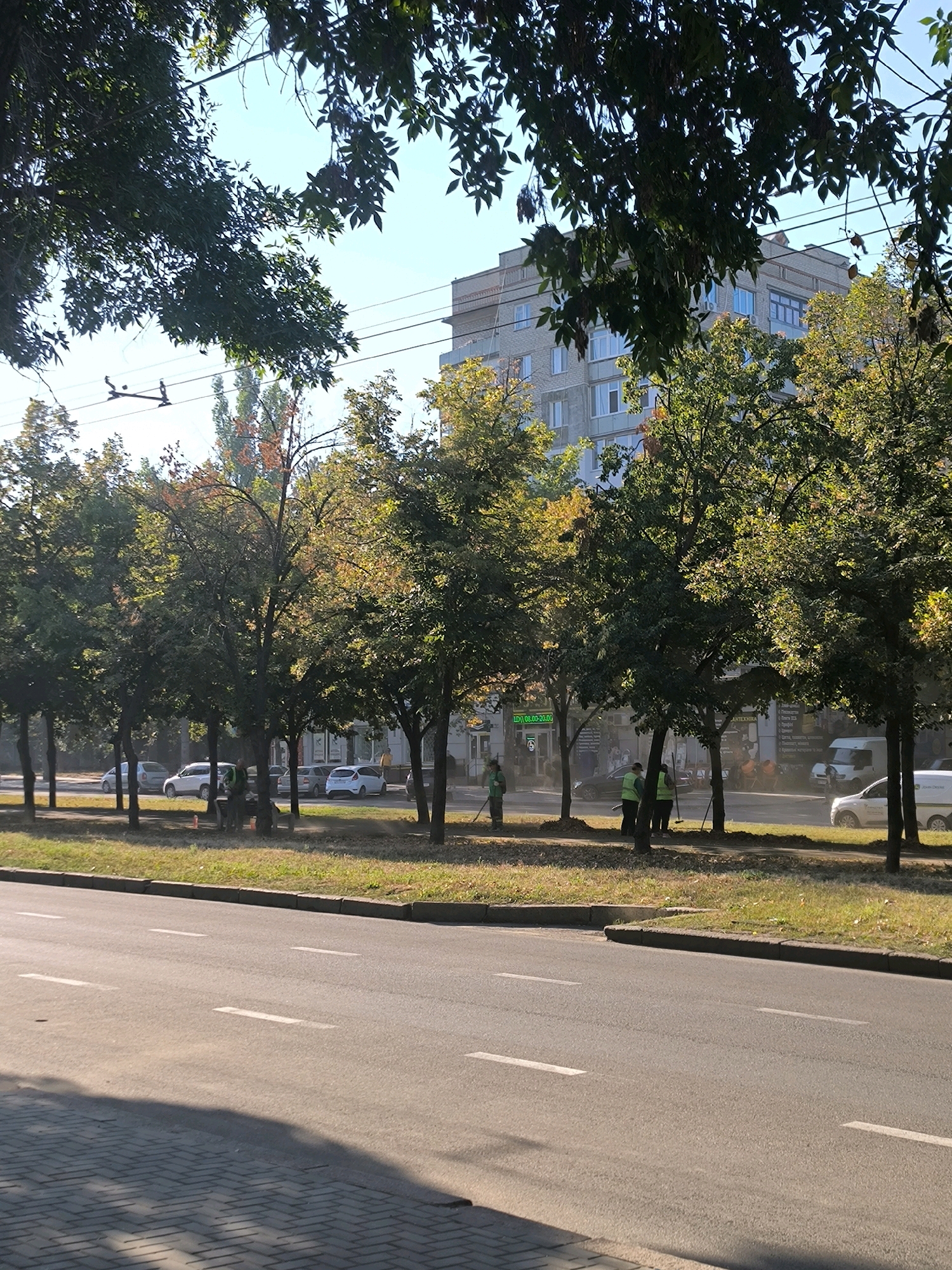 This is a wide, eye-level, outdoor, daytime shot looking across a street at a sidewalk lined with trees. The street is paved and has white lane markings. To the right of the street, there is a grassy area with a sidewalk, and beyond that, a row of trees. A few cars are parked along the sidewalk. Some of the trees are bare, and some have green and yellow leaves. There are several people on the sidewalk in the distance, wearing green vests and working with rakes and other tools, seemingly cleaning up leaves. Behind the trees, a modern, light-colored apartment building is visible. The sky is clear and blue. The sun casts long shadows across the street. The overall impression is of a typical urban street scene on a clear, sunny day, possibly in autumn given the state of the leaves.