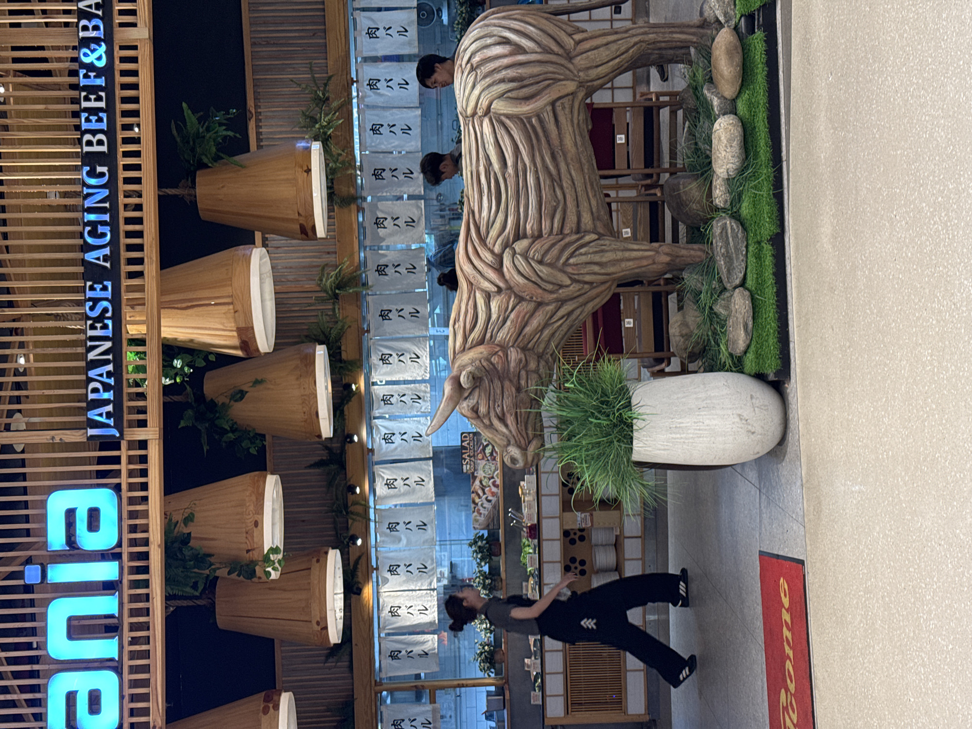 The image shows the interior of a restaurant, likely a Japanese-style establishment given the signage "JAPANESE AGING BEEF & BA". The restaurant features a rustic decor with wooden accents, including large pendant lights that resemble upside-down baskets and a prominent wooden sculpture of a bull in the foreground. Behind the bull, there is a buffet line with various food items and behind that, a display of hanging white banners with Japanese characters.
A woman wearing a grey shirt and black pants with white stripes on the sides is walking across the floor, appearing to be an employee. She is walking towards the left side of the frame. Two men are visible in the background, near the buffet area, looking towards the right.
The floor is a light-colored, speckled terrazzo. A red welcome mat with yellow lettering that reads "Come" is placed on the floor to the left. A large, light-colored planter with green grass-like plants is situated next to the bull sculpture. The environment appears clean and well-lit, suggesting an active dining space. The signage "ania" in large blue neon letters suggests the restaurant's name or a part of it. While the image does not explicitly state its location in Hanoi, Vietnam, such themed restaurants are common in cosmopolitan areas.