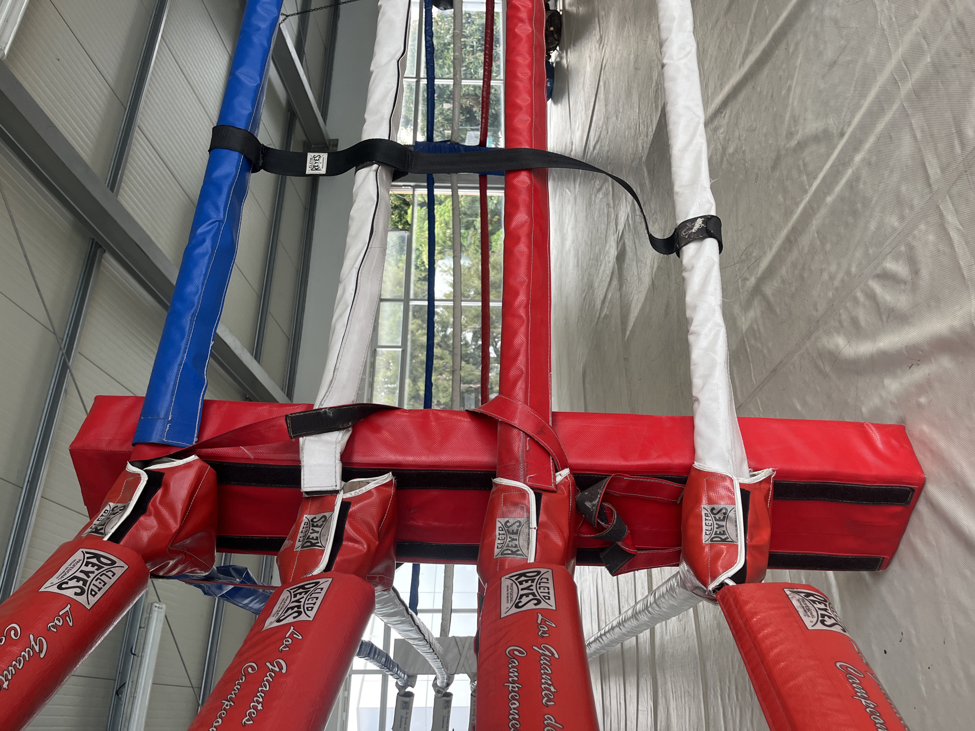 The image shows the corner of a boxing ring, likely indoors, from a low-angle perspective. Three of the corner posts are visible, each wrapped in protective padding. The post on the left is covered in blue padding, the center post in red, and the right post in white. Each corner pad is secured with black straps. The lower ropes of the ring are also visible, covered in silver padding. The padding on the lower section of the red corners bear the brand "CLETO REYES" in white lettering. Through the gaps in the ring, a window with vertical bars is visible, showing foliage outside. The walls are metal siding, with a vertical orientation.