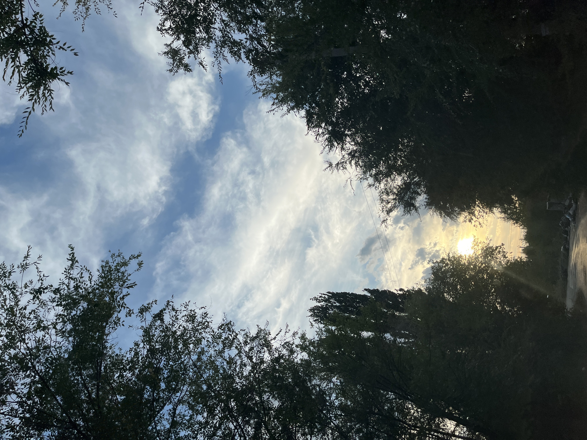 The image captures a view of the sky and trees in Shumeyka, Russia, likely at dusk or dawn. The sky is filled with wispy clouds, and the sun is a bright orb peeking through the trees. The foreground is dominated by dark silhouettes of trees, with some of their branches reaching towards the sky. A dirt road is visible in the lower part of the image, with some debris or trash piles on the side. Power lines are also faintly visible against the sky. The overall impression is one of natural beauty, possibly with a hint of rural or semi-urban landscape.