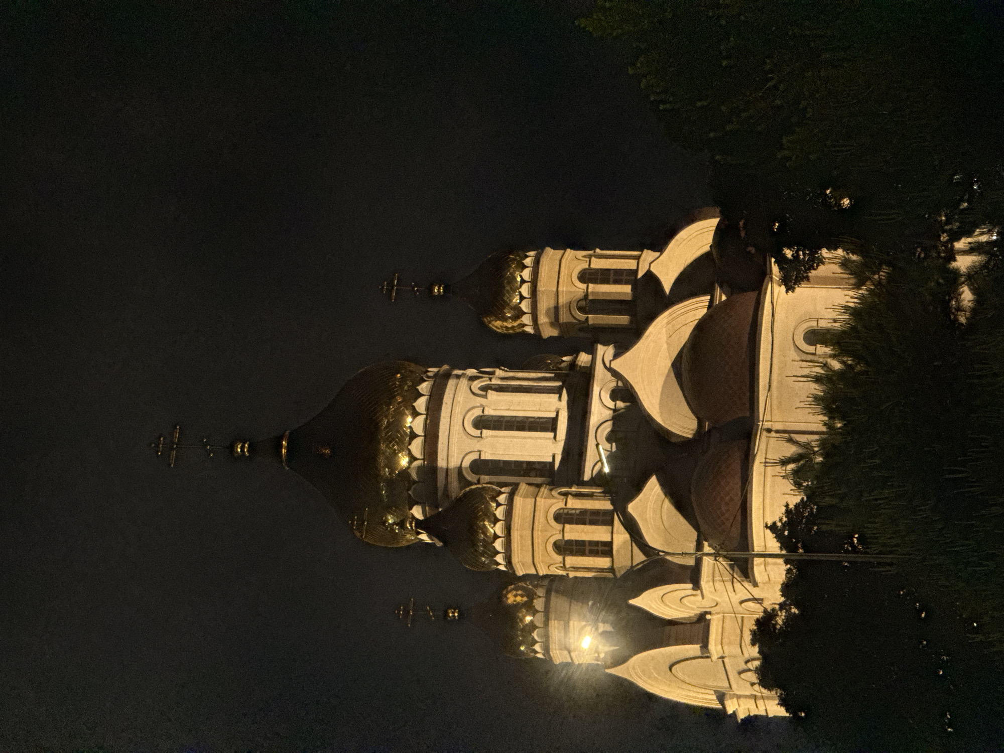 The image shows the Cathedral of the Intercession of the Holy Virgin (Pokrovsky Cathedral) in Vladivostok, Russia, at night. The cathedral's white walls and golden domes are illuminated by artificial lights. Several trees and bushes are in the foreground, obscuring the lower part of the building. The sky is dark and clear. There are no people visible in the image. The perspective is from a low angle, looking up at the cathedral.