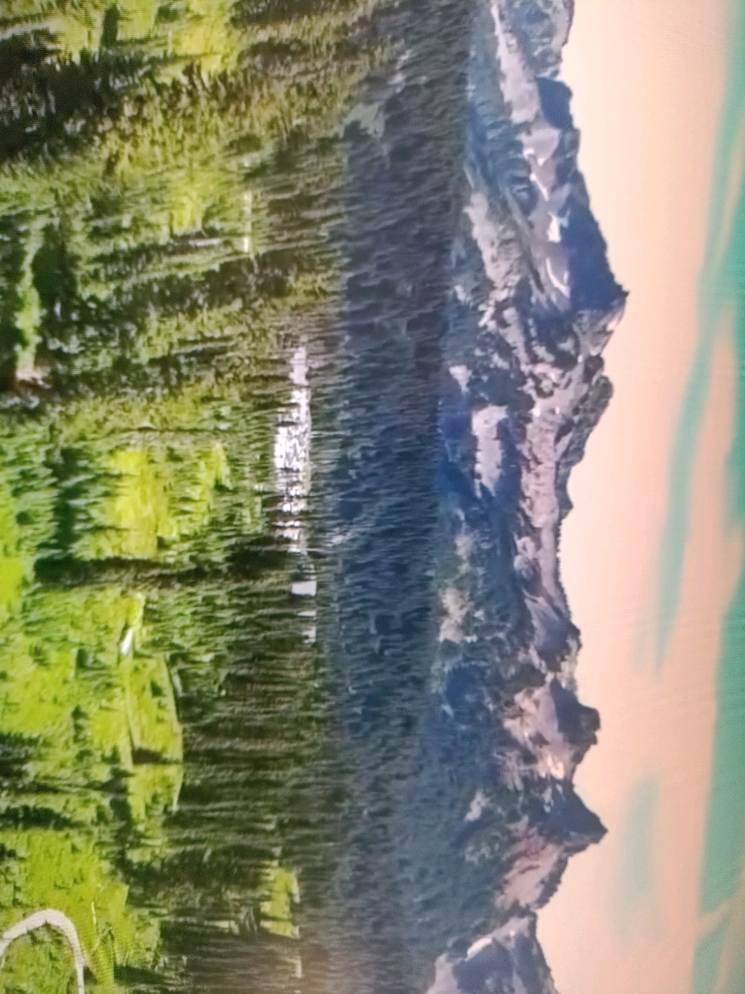 The image displays a vertical landscape scene, with the left side dominated by a dense green forest and the right side featuring a rugged, snow-capped mountain range. The mountain range appears to be partially obscured by a hazy, light-colored sky. The forest transitions into darker shades of green towards the right, suggesting a dense canopy or shadow. The mountain peaks are irregular and rocky, with patches of white snow. The overall impression is of a natural, mountainous environment. There is no indication of any urban setting, including the city of Netanya, Israel. The image is a photograph of a natural landscape and does not contain any people, objects, or actions that would suggest it was taken in a city.