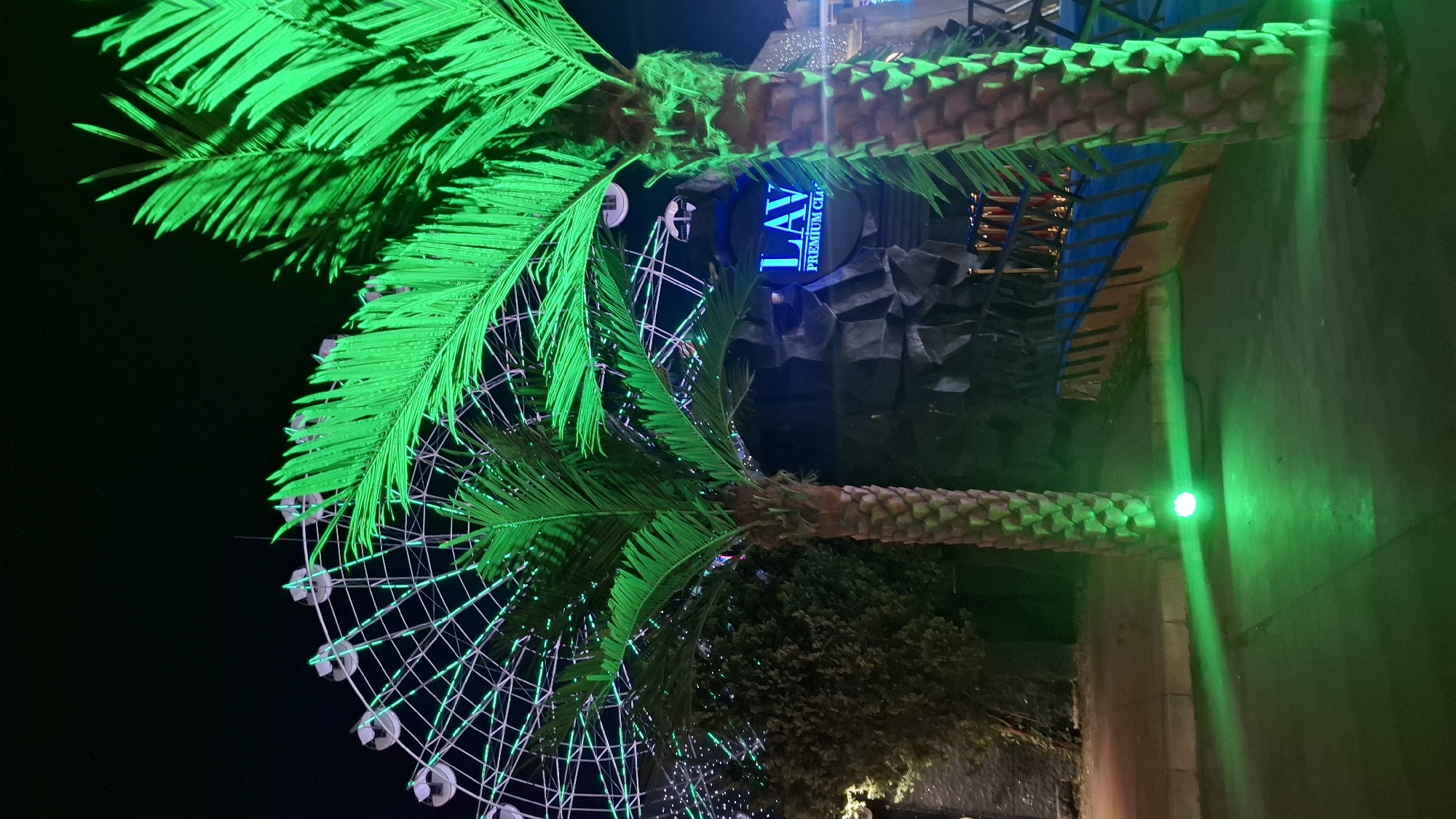 This image captures a nighttime scene in Nesebar, Bulgaria, featuring a large Ferris wheel adorned with bright green lights and two decorative palm trees, also illuminated in vibrant green. The palm trees, with their distinctive segmented trunks and lush fronds, are positioned in the foreground, framing the Ferris wheel and a dark, textured structure that appears to be part of a building or attraction.
Behind the palm trees and the Ferris wheel, a circular sign with blue neon lettering is visible. The text on the sign reads "LAV PREMIUM CLASS". The overall ambiance is festive and energetic, enhanced by the strong, artificial lighting and the darkness of the night sky. The Ferris wheel, a prominent object, suggests a recreational or entertainment venue, possibly an amusement park or a lively boardwalk area. The setting evokes a sense of a night out, filled with artificial illumination and the promise of fun. The weather is not discernible, but the nighttime setting is clear.