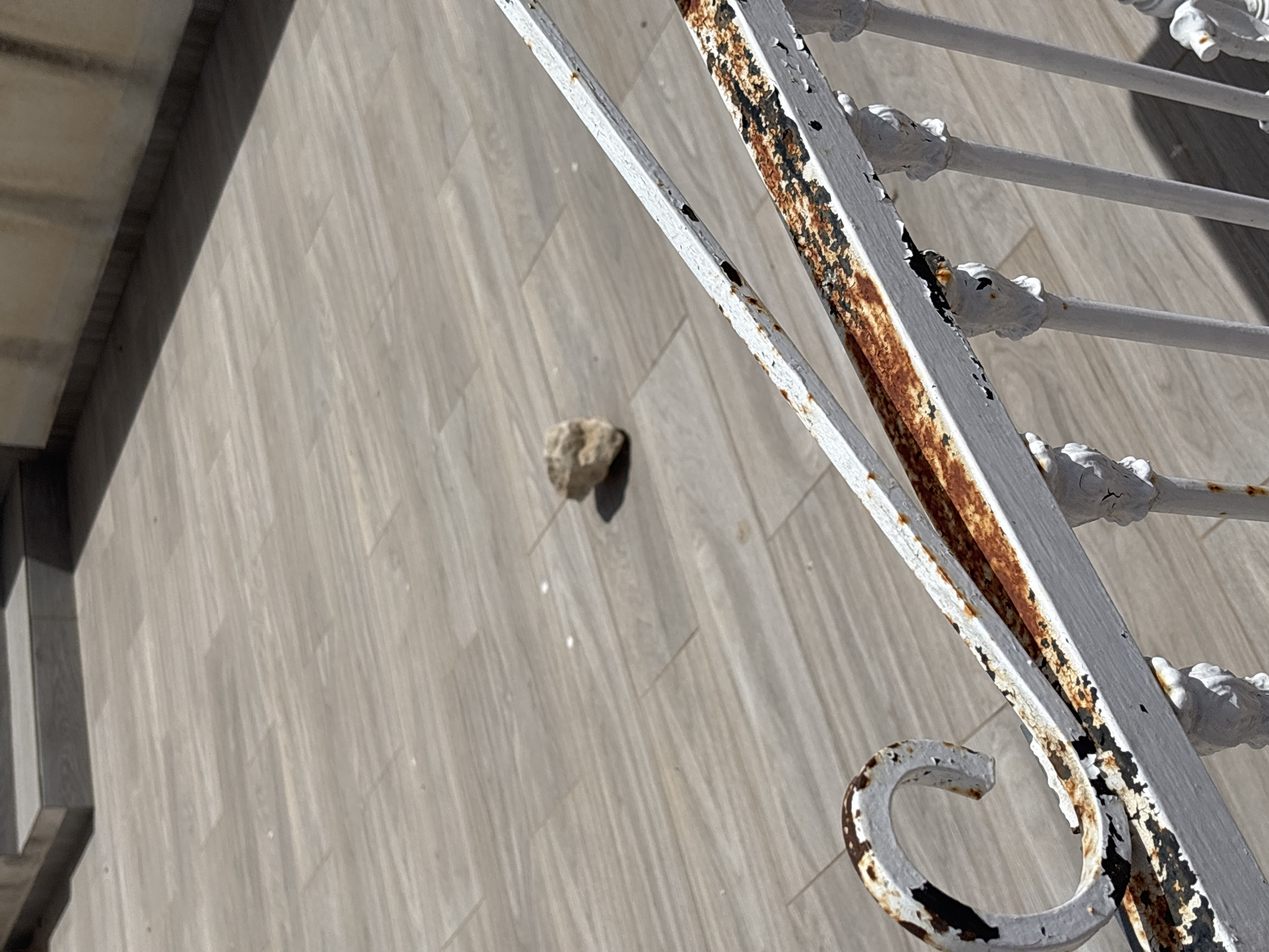 A single, light-brown rock is positioned on a light-brown tiled floor. The rock is roughly oval-shaped and appears to be of moderate size. In the foreground, a white metal railing with significant rust and peeling paint runs diagonally across the image, obscuring part of the floor and a portion of the rock. The railing has decorative elements, including a swirl at the left and small, ornate carvings on the vertical supports. The tiled floor is laid in a pattern resembling wood planks. The background shows a section of a building with a dark base and a light-colored upper wall, casting a shadow. There are no people or animals visible in the frame. The scene appears to be an outdoor patio or balcony area. The location is described as Orihuela, Spain, though specific identifying landmarks are not present in the image.
