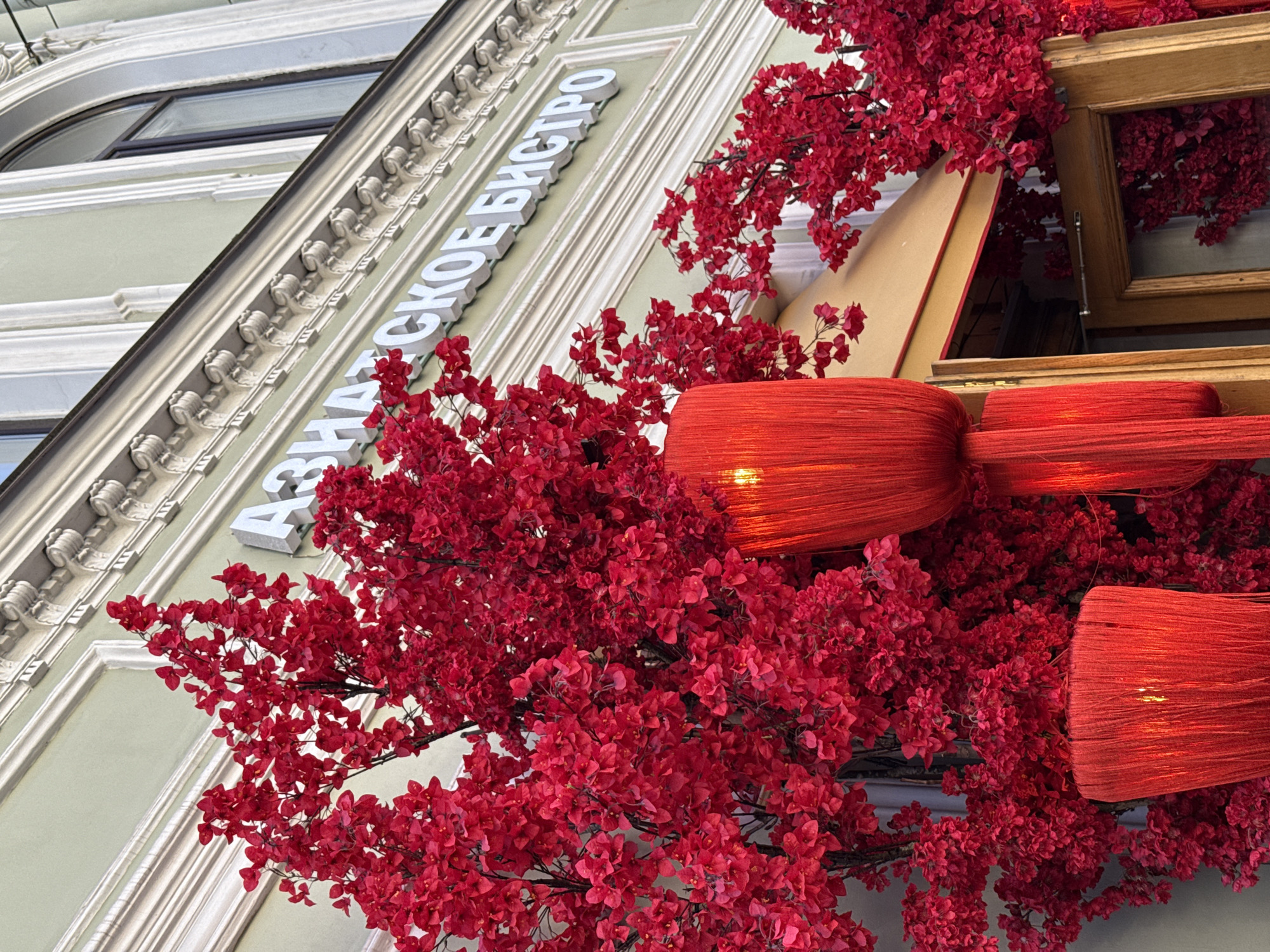 The image captures a close-up view of a building facade decorated with vibrant red artificial flowers, likely for a festive occasion or as permanent decoration. The facade is adorned with intricate architectural details, including moldings and a curved window. Above the flowers, white 3D letters spell out "АЗИАТСКОЕ БИСТРО," indicating the name of an establishment, possibly an Asian bistro.
The decoration consists of dense clusters of small, bright red flowers on delicate branches, creating a lush canopy that partially obscures the building. Interspersed with the floral arrangements are cylindrical lampshades, also in a deep red hue, wrapped in a textured material that allows light to filter through, suggesting it might be evening or the lights are intentionally illuminated. One lamp in particular has a visible light source glowing from within.
The building itself appears to be old, with classical architectural elements. The background is a pale green wall with white trim and decorative carvings. The angle of the shot is upward, looking from a low vantage point towards the upper part of the building.
The overall impression is one of festive and rich ornamentation, with the dominant color being a bold red. The setting appears to be urban, given the building's architecture and the presence of signage. The time of day is ambiguous due to the artificial lighting, but the warm glow from the lamps suggests it could be late afternoon or evening. The location is identified as Saint Petersburg, Russia.