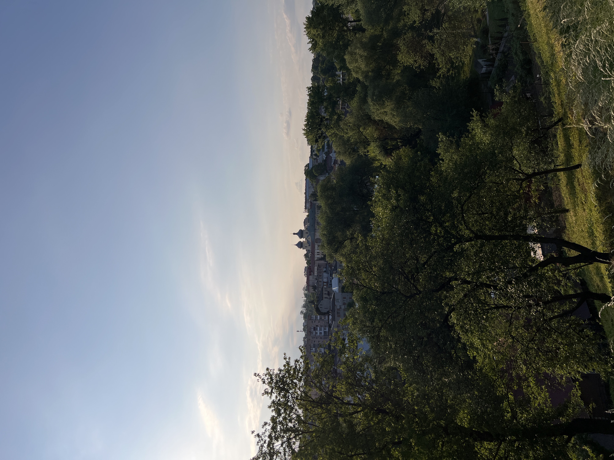 The image presents a panoramic landscape view of a town or city, framed by abundant greenery, under a vast sky. The photograph, taken at what appears to be late afternoon or early evening, captures a serene moment with warm, soft light.
In the foreground, dense, vibrant green trees with full foliage dominate the lower and right sides of the frame. Some leaves are brightly illuminated by the setting sun, while others are in shadow, creating depth. Beyond the immediate treeline, the midground reveals a cityscape composed of various buildings and houses. A notable architectural feature is a prominent structure, likely a church or cathedral, distinguished by two light-colored domed cupolas that stand out against the horizon. The town appears to be nestled among gentle hills, with more trees visible on distant slopes.
The sky occupies a significant portion of the upper left, transitioning from a clear, light blue at the top to a pale, almost white, hue near the horizon, indicative of the low sun. A few wispy, elongated clouds are scattered across the sky, adding texture without obscuring the clear weather. There is no visible human activity or text within the frame. The overall impression is one of a peaceful, well-integrated urban environment surrounded by natural elements, capturing a typical view of Zbarazh, Ukraine.