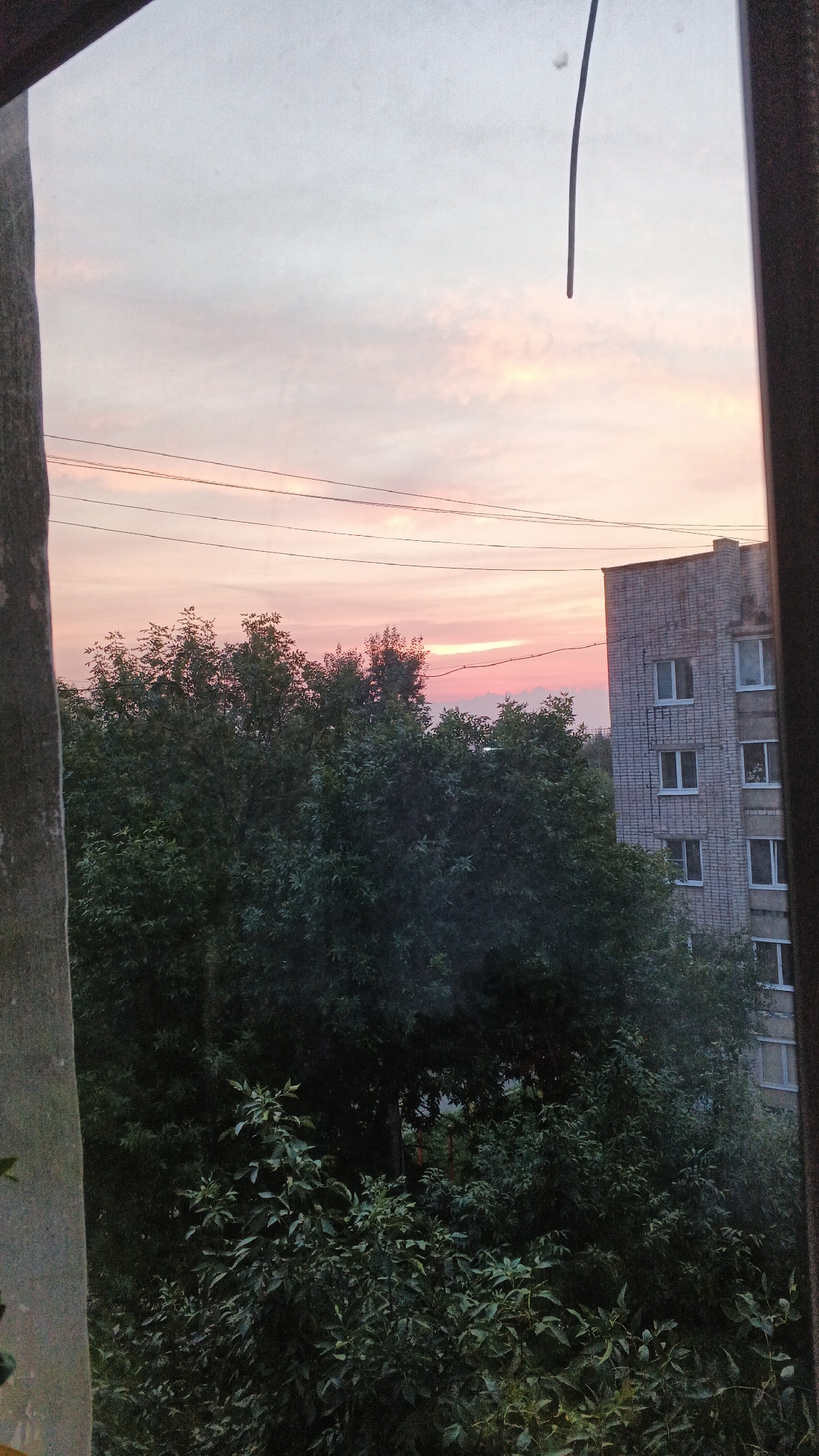 The image captures a view from a window in Izhevsk, Russia, overlooking a cityscape at dusk. The sky is a soft gradient of pink and pale blue, indicative of sunset, with thin, elongated clouds. Several power lines stretch horizontally across the frame, dividing the sky from the scene below.
Dominating the lower half of the image is a dense canopy of dark green trees. They are lush and full, obscuring much of what lies behind them. To the right, a multi-story brick building stands out against the foliage. The building appears aged, constructed with light-colored bricks, and features multiple windows arranged in rows. Some windows have white frames, and one window on the upper floors seems to have a curtain or object visible inside.
The foreground shows parts of the window frame, suggesting the perspective is from inside a dwelling. The left side of the frame includes a portion of a concrete structure, possibly part of the building the photo is taken from. A thin, dark, curved line, likely a wire or cable, hangs down from the top center of the frame. The overall atmosphere is calm and serene, typical of an evening in a residential area. No people or specific actions are depicted.