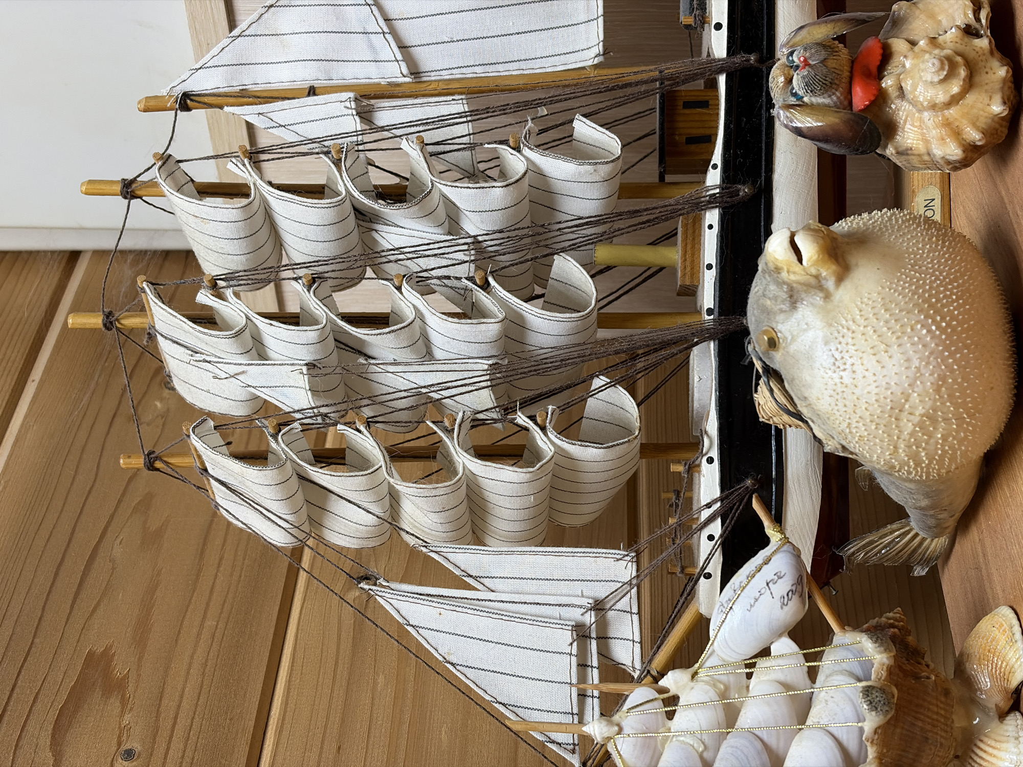 A detailed view showcases a miniature sailing ship model adjacent to a taxidermied pufferfish and several seashells, all set against a backdrop of vertical wooden planks. The model ship features white and black striped sails and elaborate rigging, with the sails constructed as looped fabric strips. Next to the ship, a beige pufferfish, inflated and mounted, displays its characteristic spines. Accompanying it are various seashells, adding to the nautical theme. The wooden backdrop suggests an indoor, decorative display. The location is not specified.