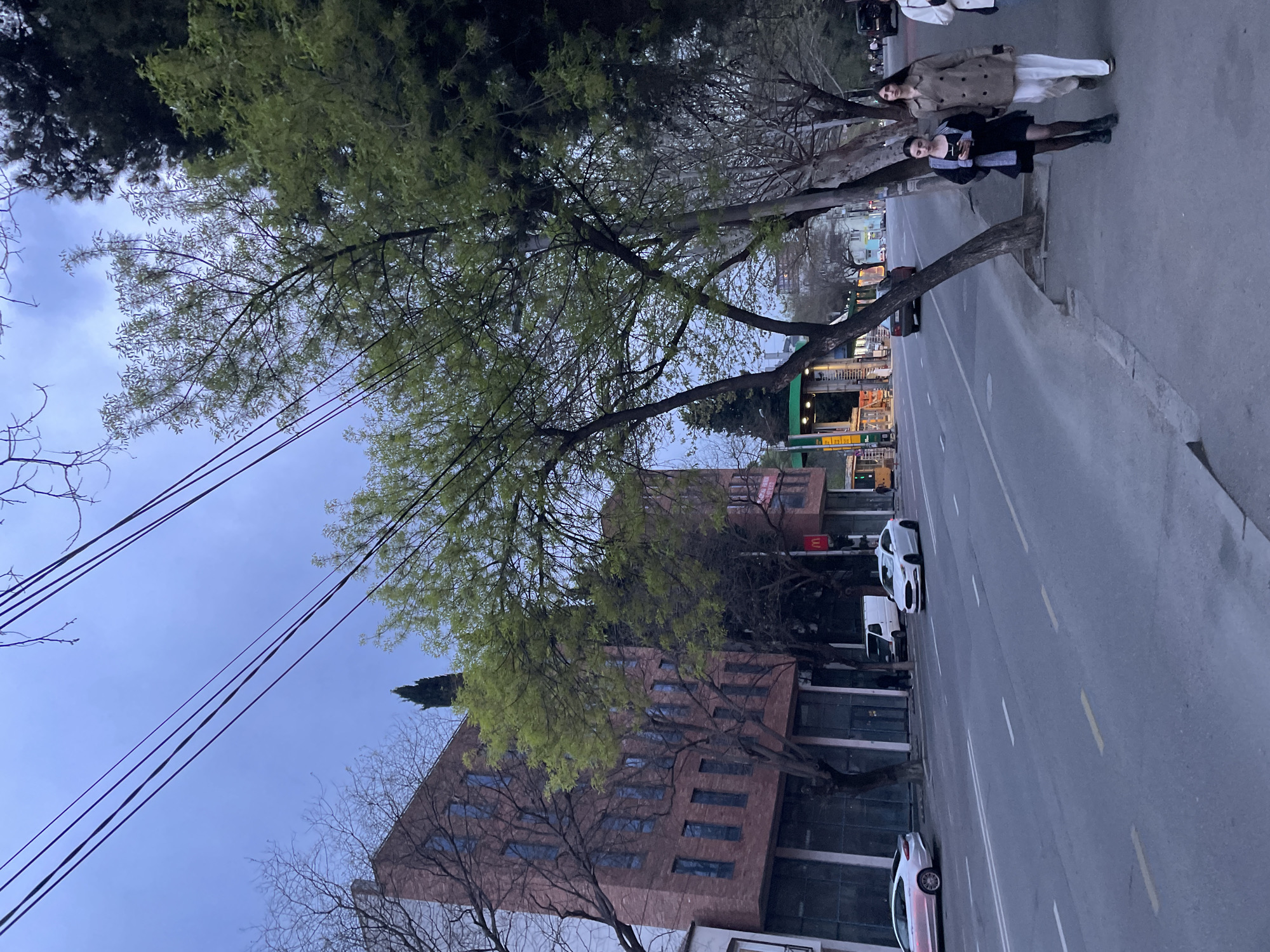 This image depicts an urban street scene, likely in Tbilisi, Georgia, during dusk or early evening. The overall orientation of the image is rotated 90 degrees clockwise.
In the foreground, two women are standing on a sidewalk. The woman further from the camera wears a light-colored trench coat over white trousers and a dark top. The woman closer to the camera is dressed in a dark outfit, featuring a black skirt or dress, a black and white patterned jacket or top, and dark tights with boots. Both women have dark hair and appear to be posing or simply pausing on the sidewalk.
To the right of the women is a multi-lane road with visible white and yellow markings. Several vehicles, including a white sedan and a white van, are visible on the street, either parked or driving in the distance.
The street is lined with numerous trees; some are beginning to show light green spring foliage, while others still appear bare. In the background, several multi-story buildings are visible, including one with a distinctive reddish-brown facade and rows of rectangular windows. High above, several dark power lines crisscross the muted blue, possibly overcast, sky. A faint yellow "M" logo, characteristic of McDonald's, can be discerned on a building further down the street. The lighting suggests a transition period from day to night, with a calm and subdued atmosphere.
